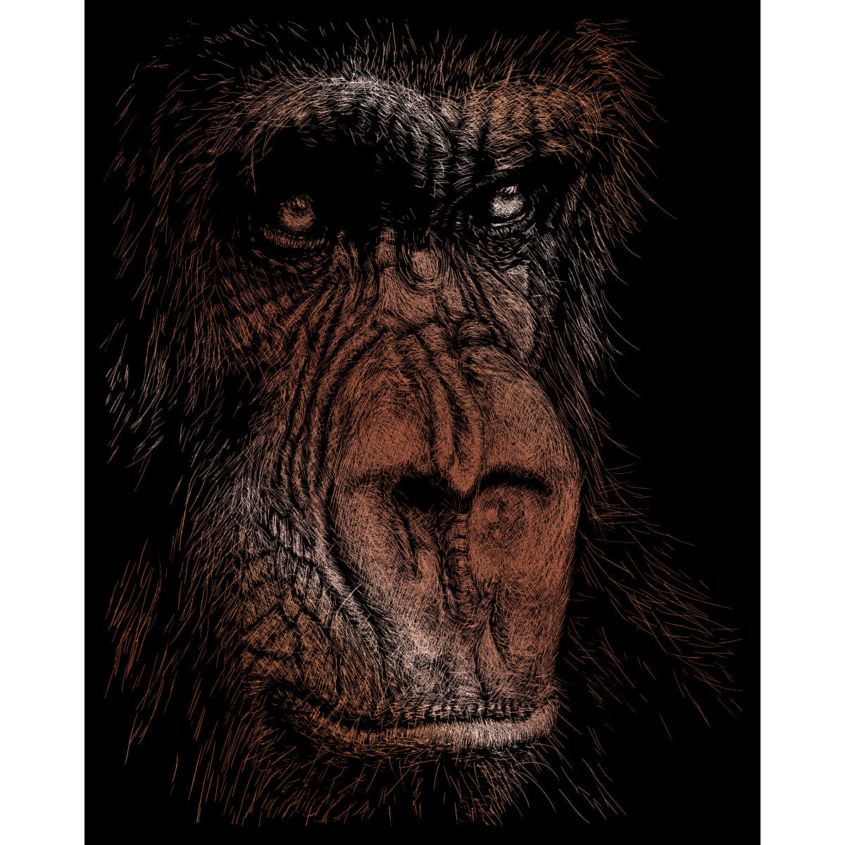 Copper Foil Engraving Art Kit 8"X10" The Wise Simian