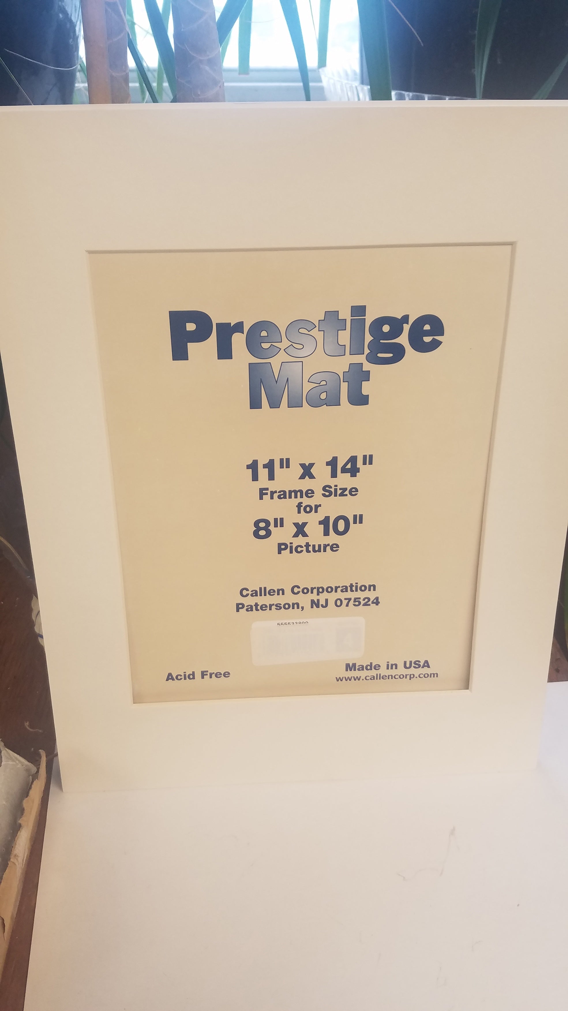 Photo Mat 11"X14" Single Hand-Cut W/Bevel Edge Ivory W/White Core