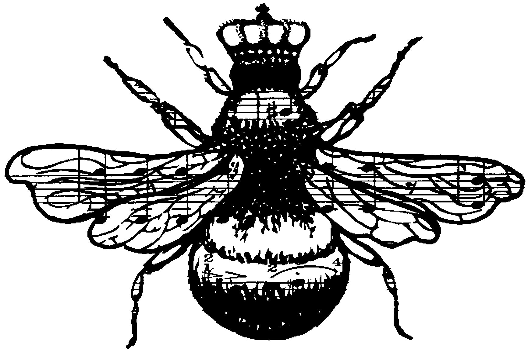 Donna Salazar Cling Stamps  1-1/4x1-3/4  Queen Bee