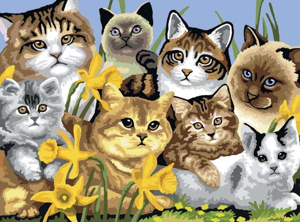 Junior Large Paint By Number Kit 15.25"X11.25" Cats Montage