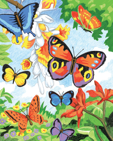 Color Pencil By Number Kit 8.75"X11.75" Bright Butterflies