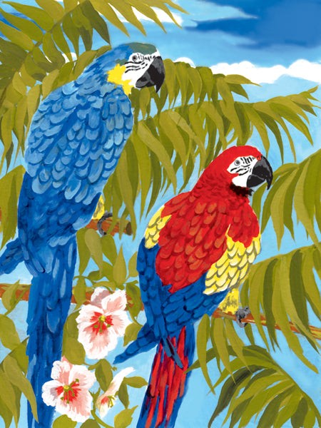 Junior Small Paint By Number Kit 8.75"X11.75" Parrots