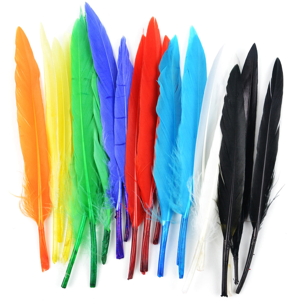 Mini Indian Feathers 24/Pkg Assorted Colors