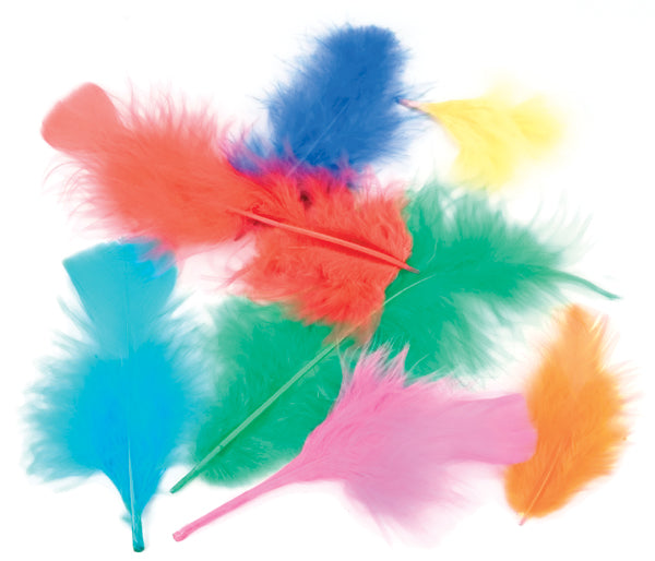 Flat Turkey Feathers 7g Assorted Colors