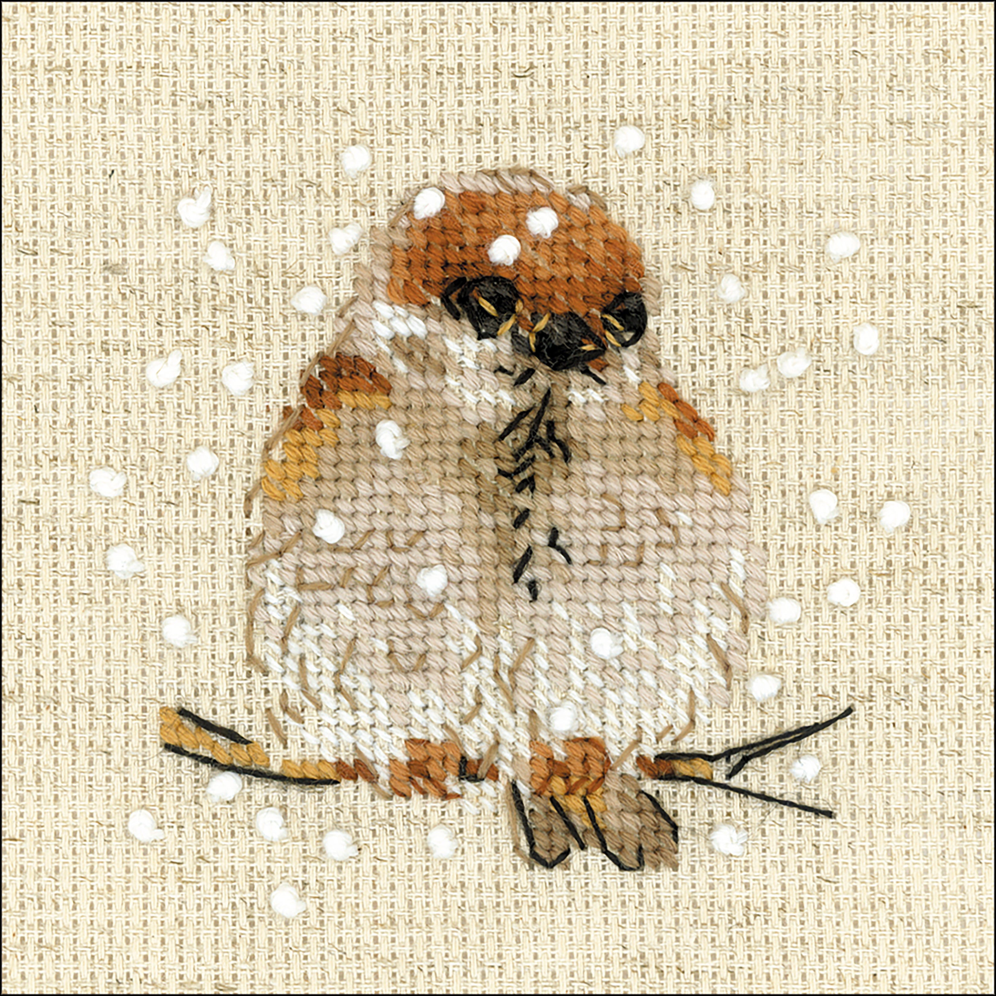 RIOLIS Counted Cross Stitch Kit 4"X4" Sparrow (14 Count)