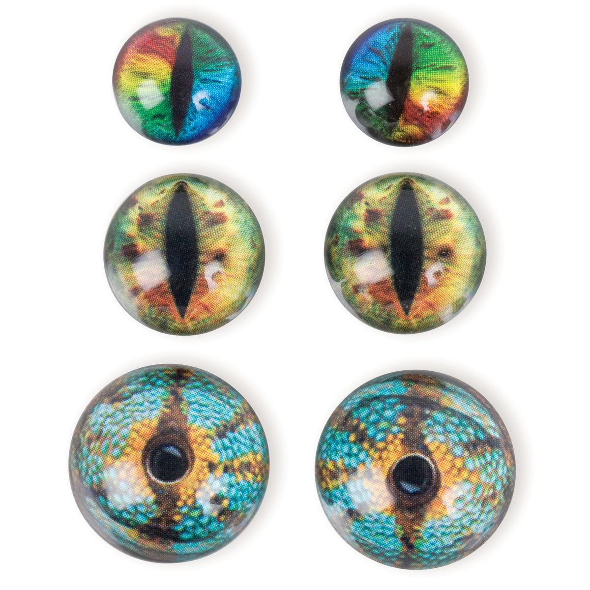 Steampunk Acrylic Accents 6/Pkg Dragon Eyes Brights