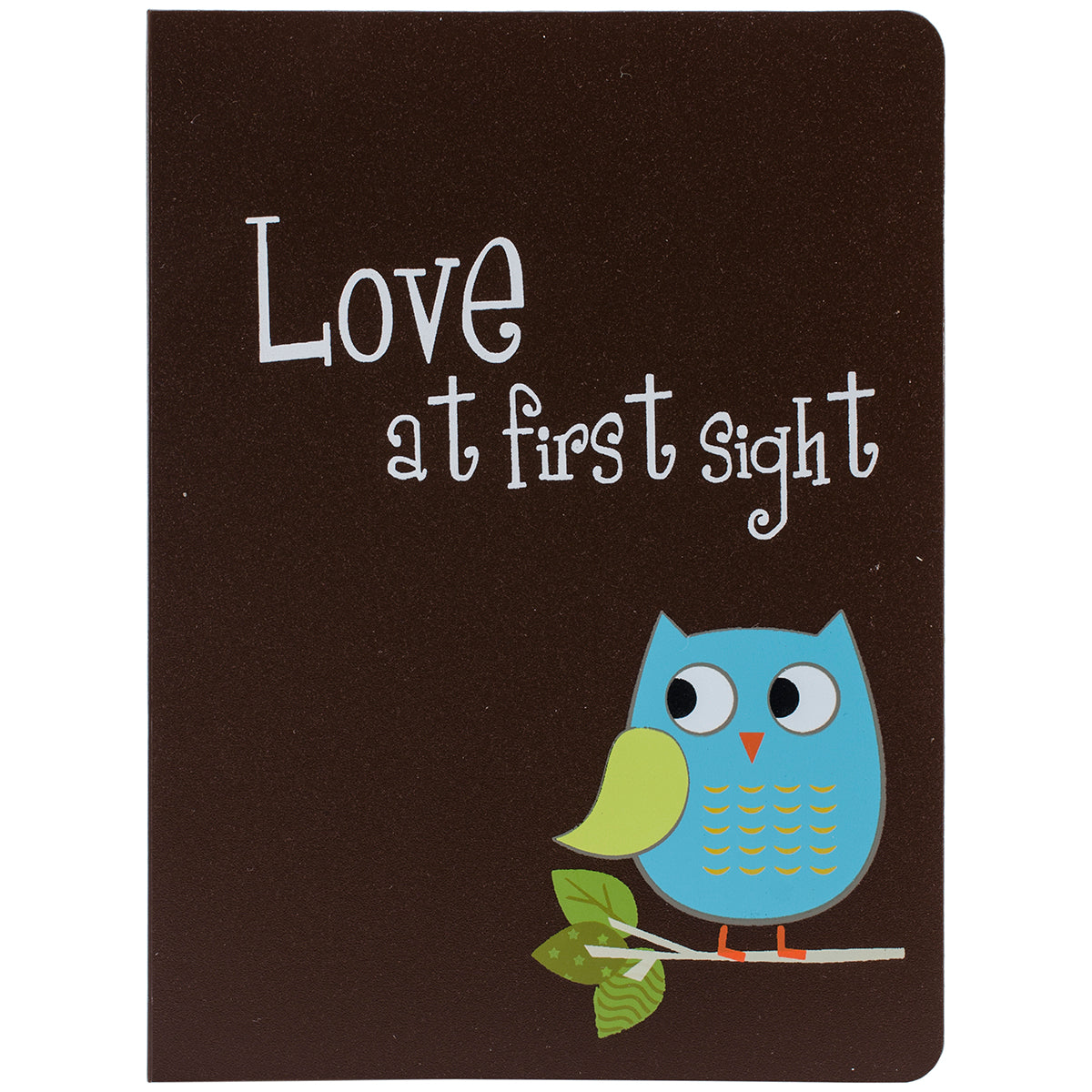 Pioneer Baby Owl Brag Book Album 4"X6"  Assorted Colors