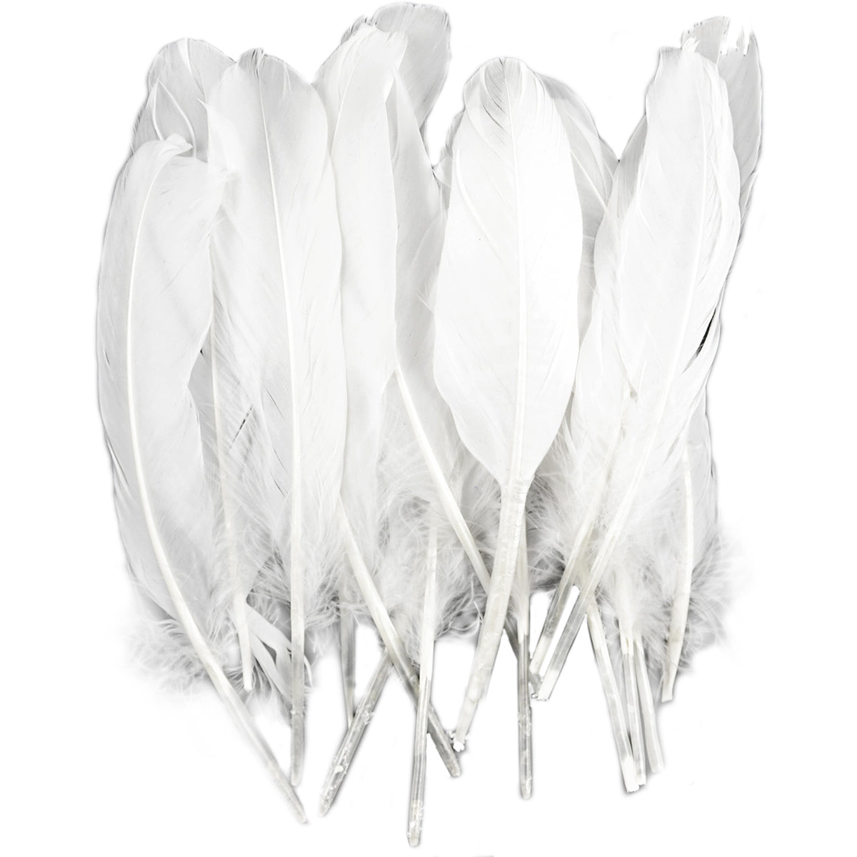Goose Wing Rounds Feathers 22/Pkg White