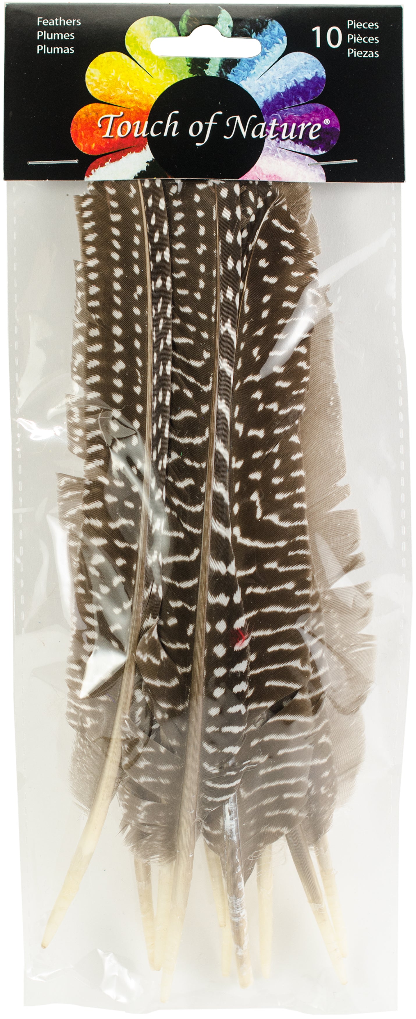 Goose Fowl Wing Quill Feathers 10/Pkg Natural