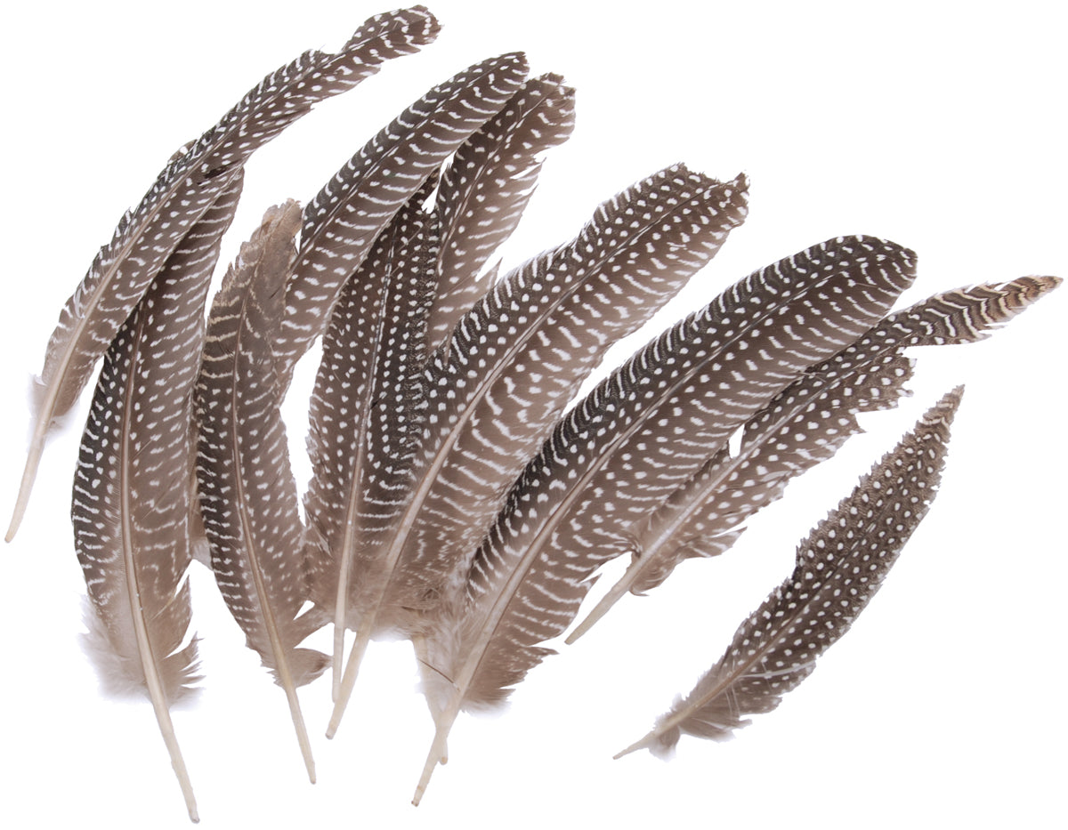 Goose Fowl Wing Quill Feathers 10/Pkg Natural