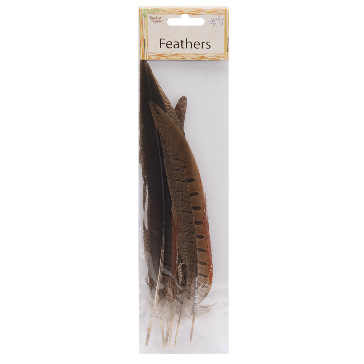 Ringneck Pheasant Feathers 6/Pkg Natural