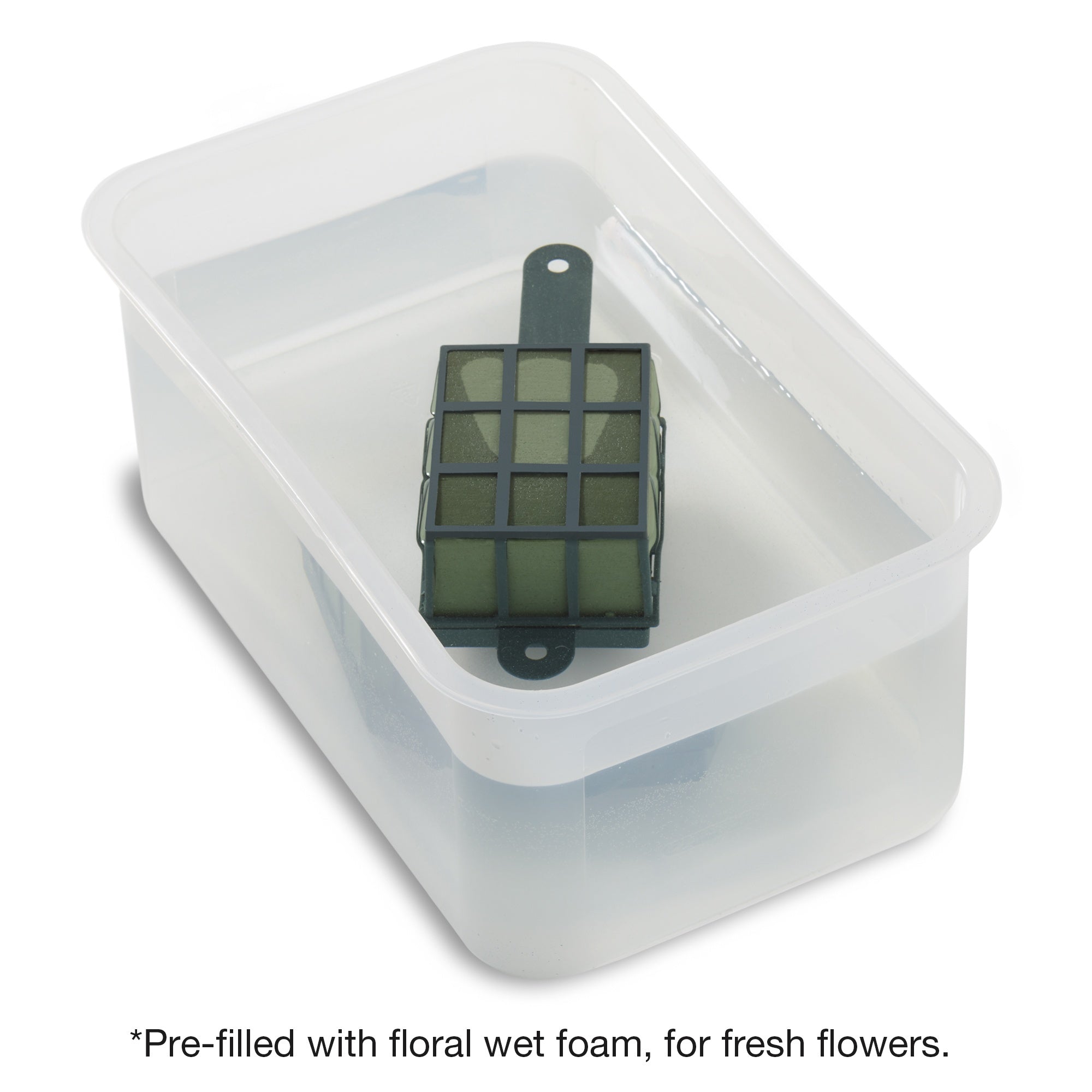 FloraCraft WetFoM Floral Cage Arranger-9.7"X3.4"X3.3"