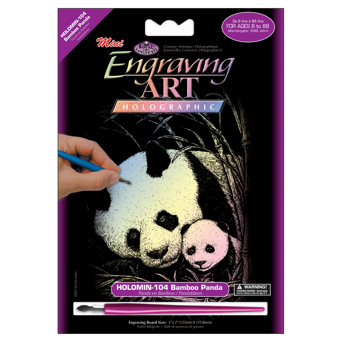 Holographic Foil Engraving Art Mini Kit 5"X7" Bamboo Panda