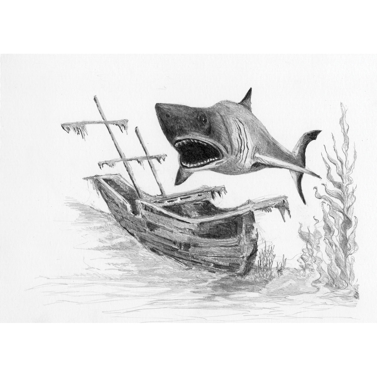 Sketching Made Easy Kit 5'x7" Shark