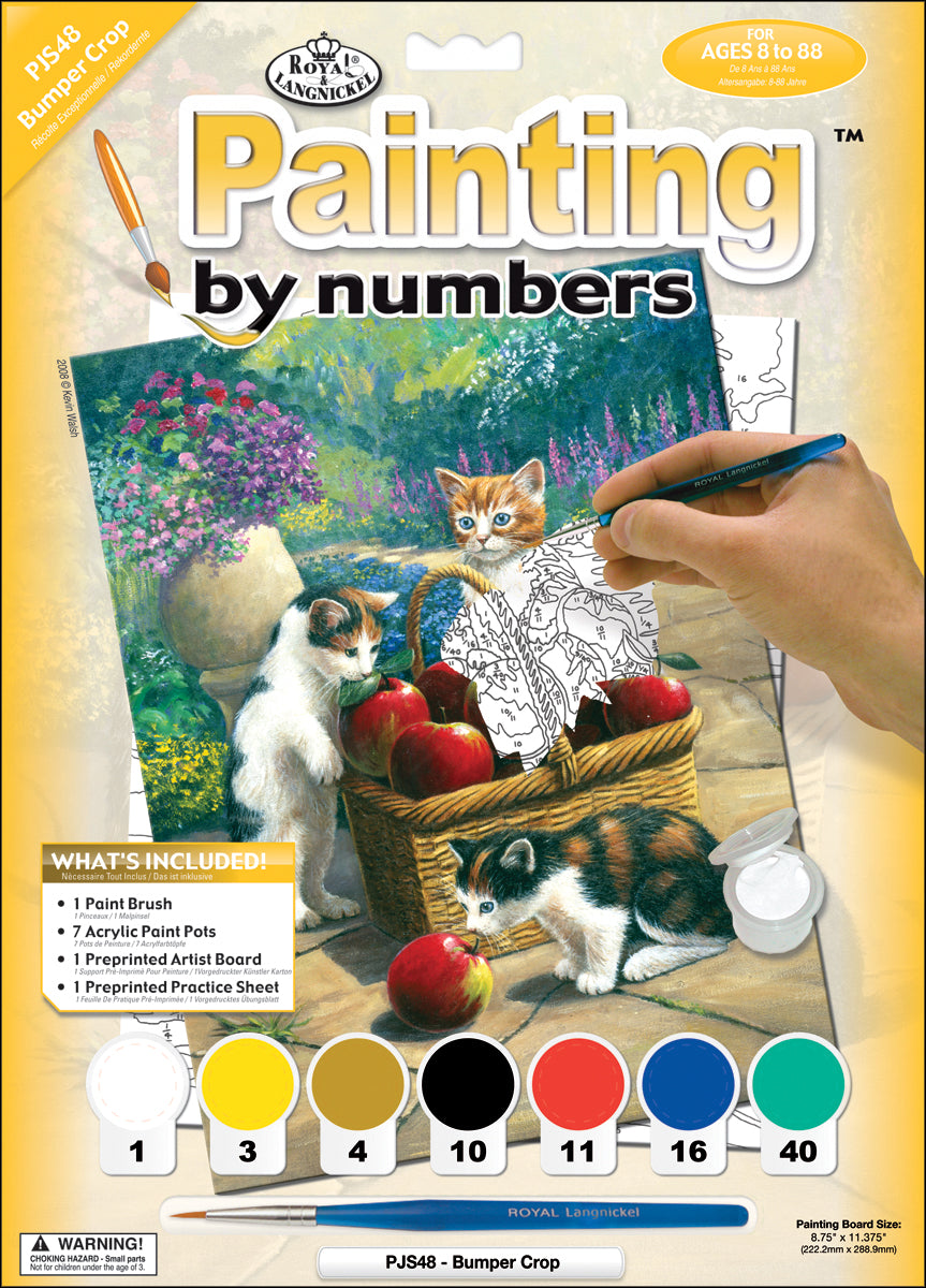 Junior Small Paint By Number Kit 8.75"X11.75" Bumper Crop