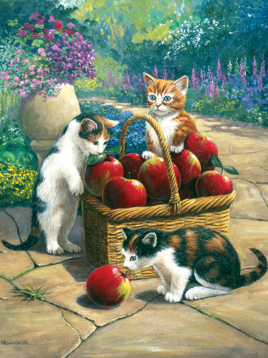 Junior Small Paint By Number Kit 8.75"X11.75" Bumper Crop