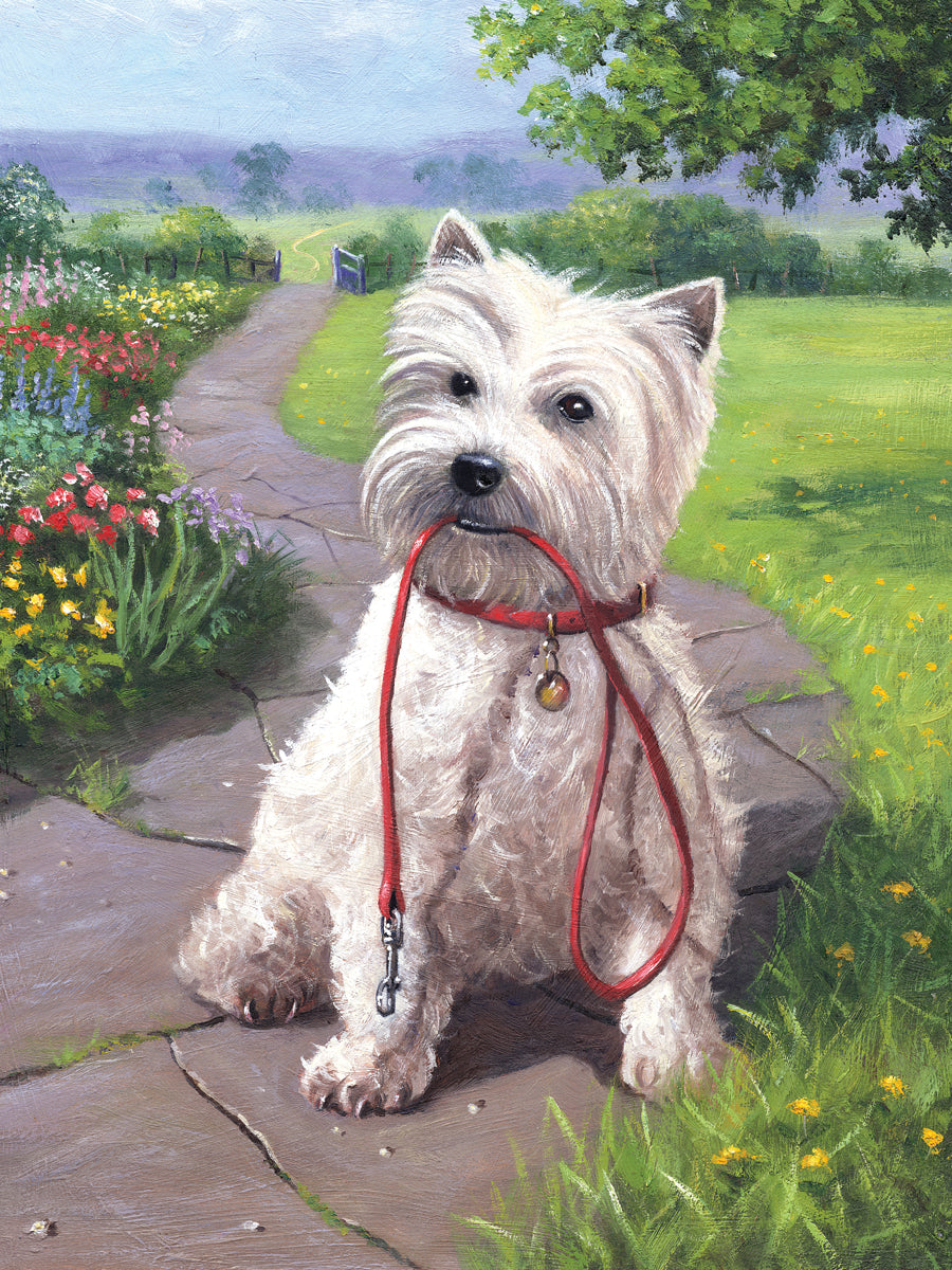 Junior Small Paint By Number Kit 8.75"X11.75" Time For A Walk