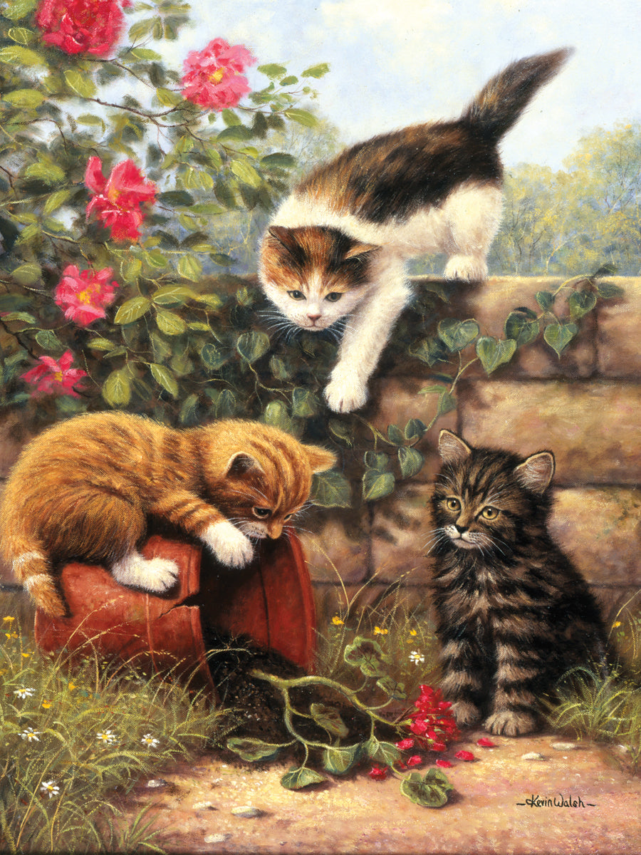 Junior Small Paint By Number Kit 8.75"X11.75" Kittens At Play