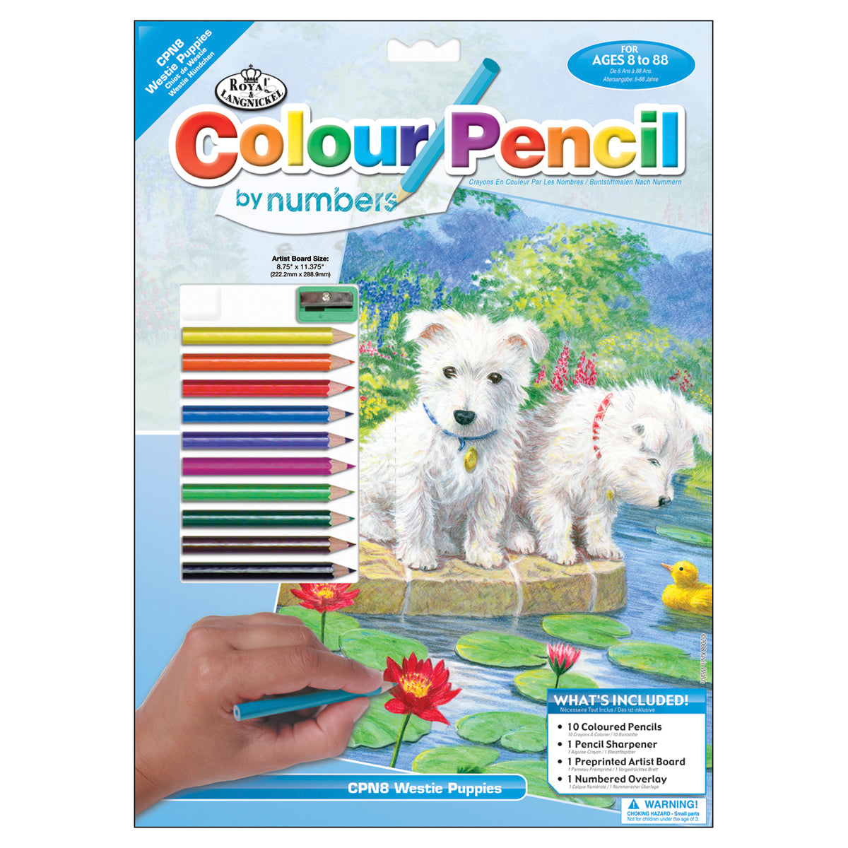 Color Pencil By Number Kit 8.75"X11.75" Westie Pups