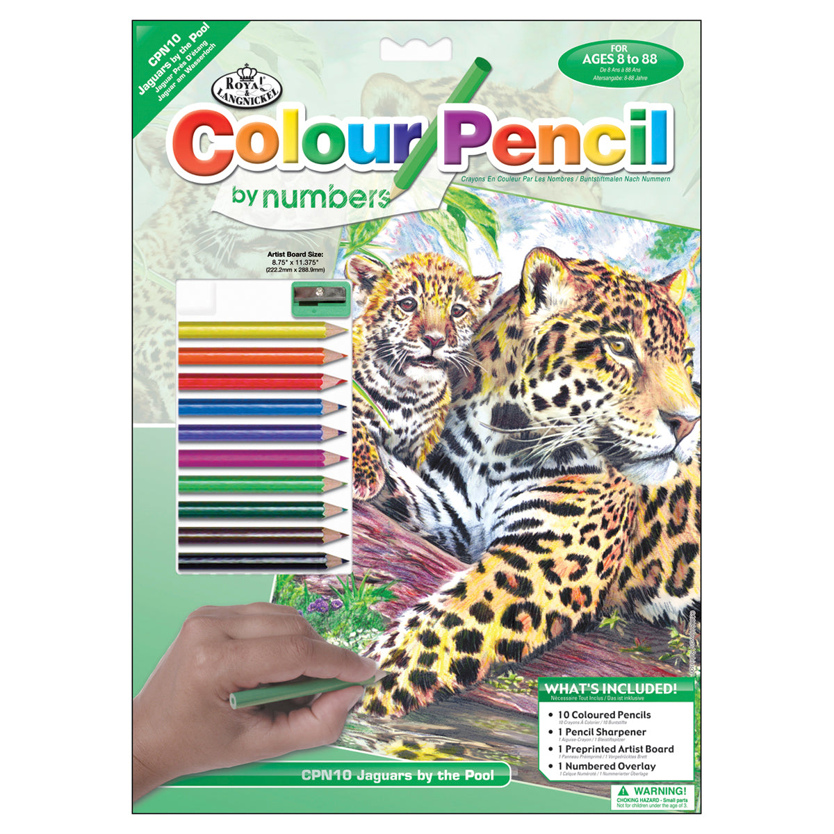 Color Pencil By Number Kit 8.75"X11.75" Jaguar Family