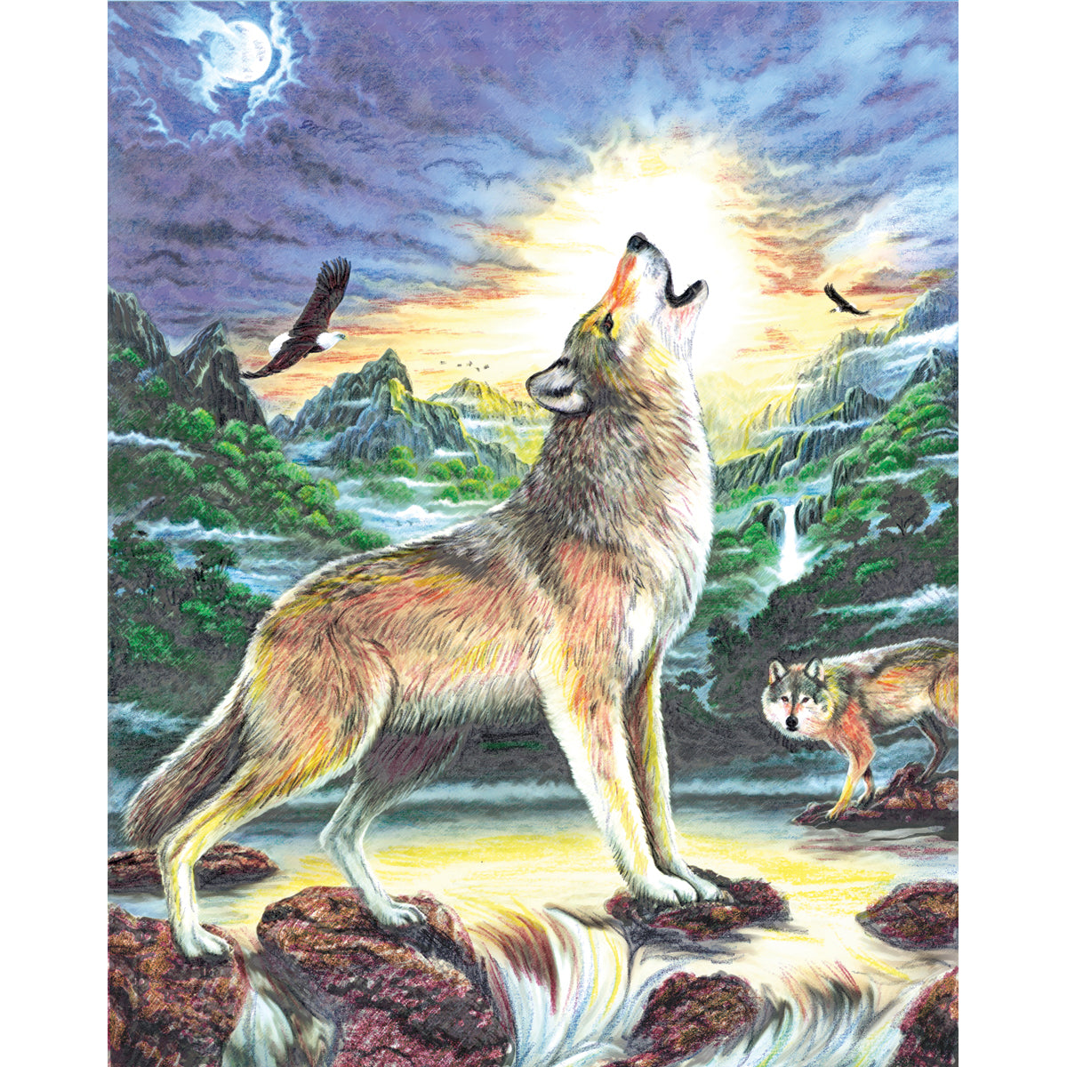 Color Pencil By Number Kit 8.75"X11.75" Wolf At Night