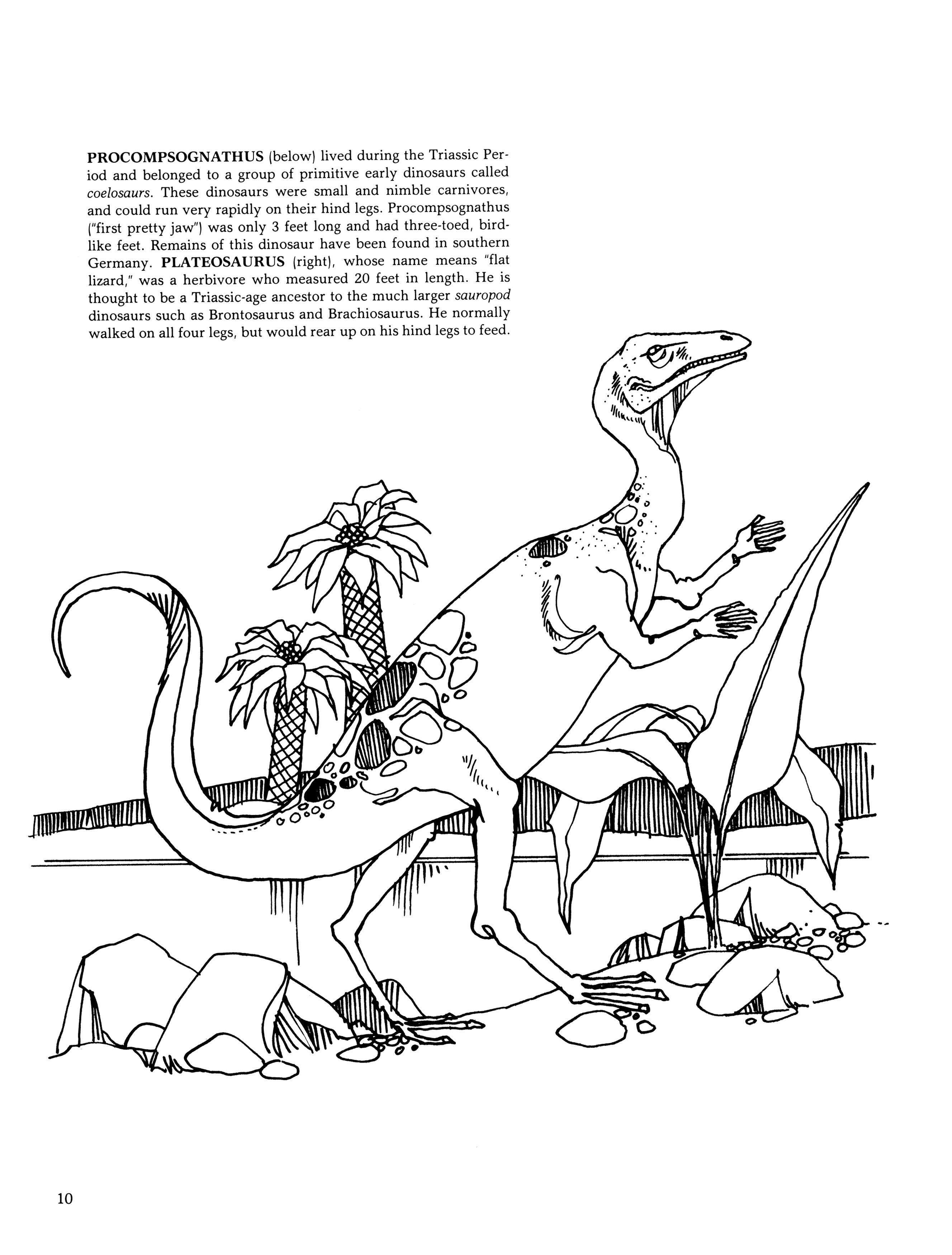 Dover Publications The Dinosaur Coloring Book