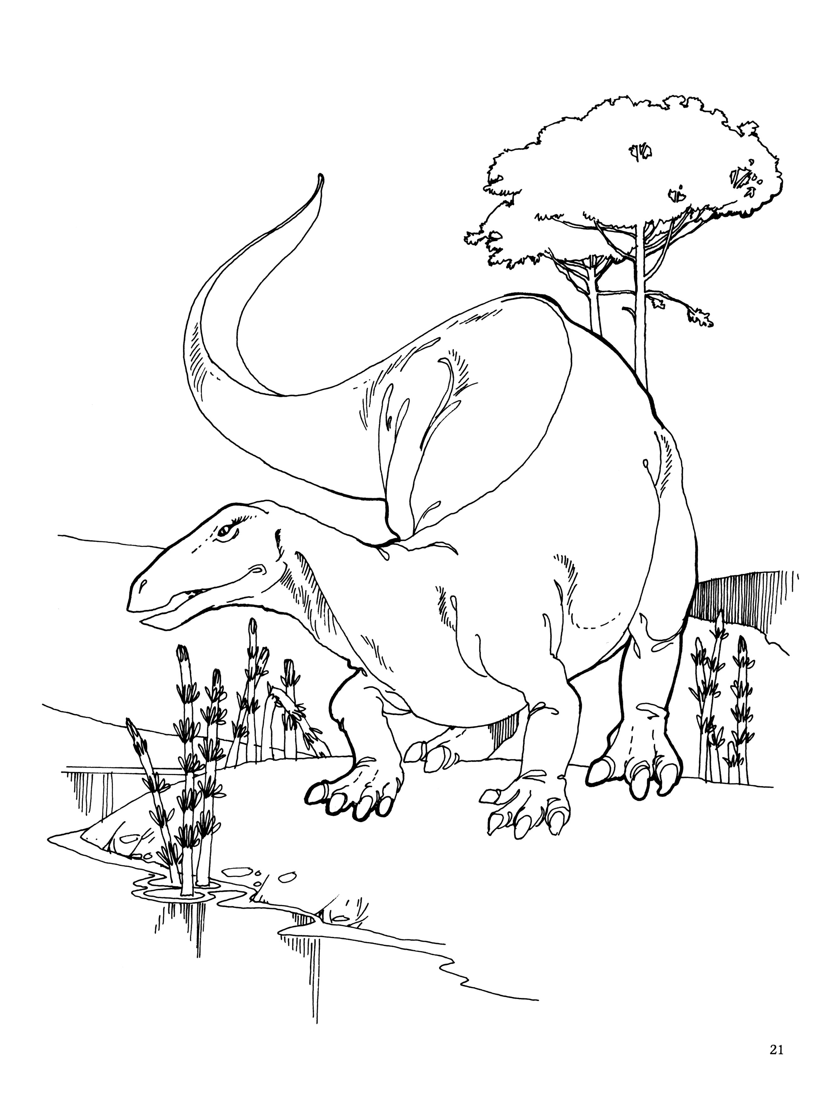 Dover Publications The Dinosaur Coloring Book