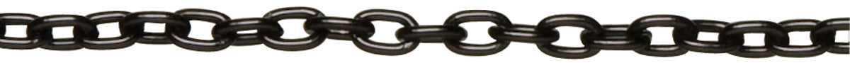 Jewelry Basics Metal Chain 1/Pkg Black Small Oval 100"