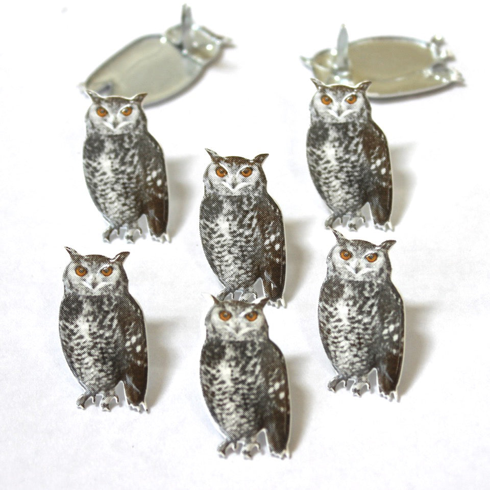 Eyelet Outlet Shape Brads 12/Pkg Sketched Owls