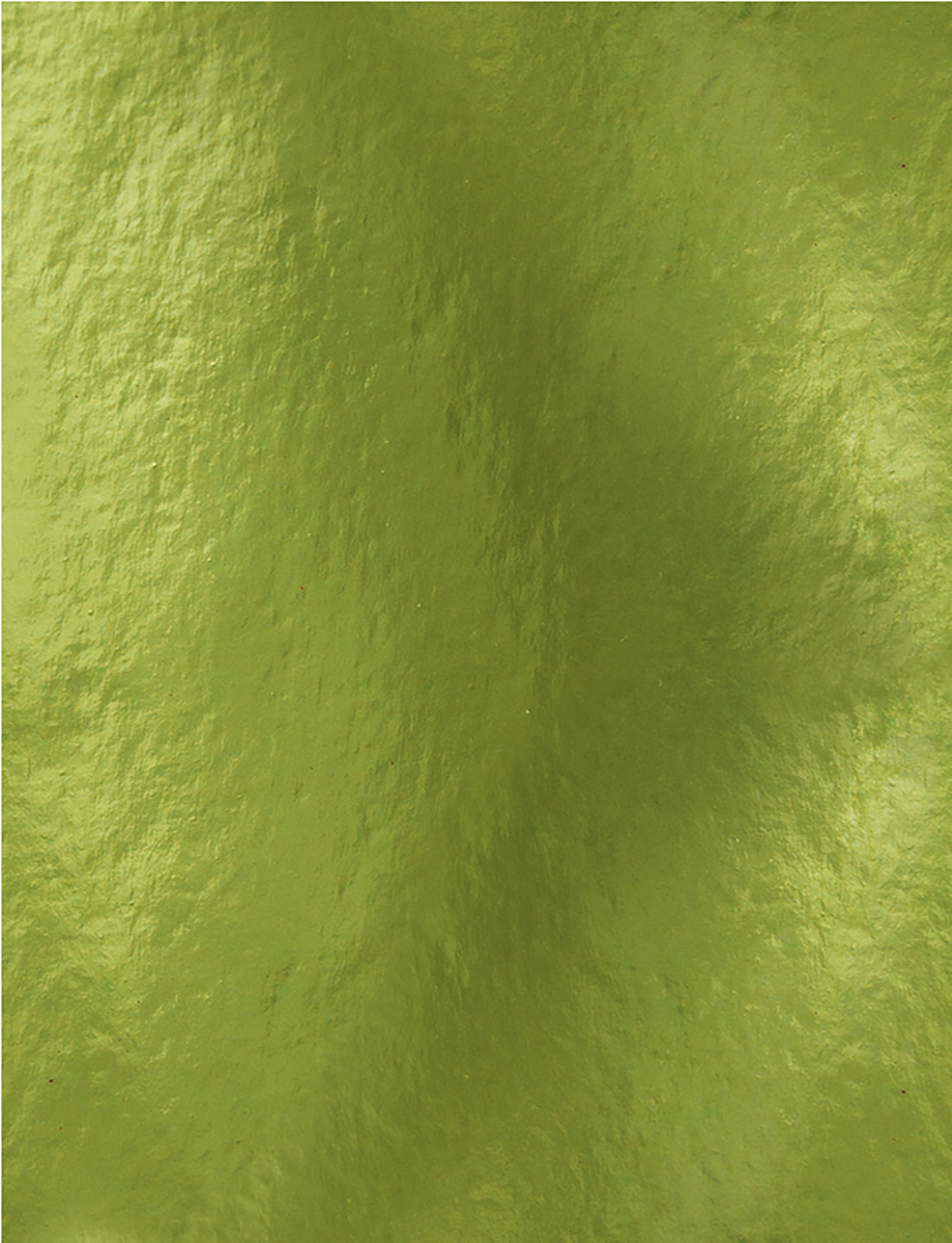 Tonic Studios Mirror Glossy Cardstock 8.5"X11" 5/Pkg Holly Green