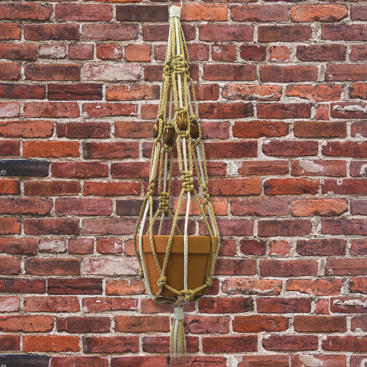 Macrame Plant Hanger Kit 