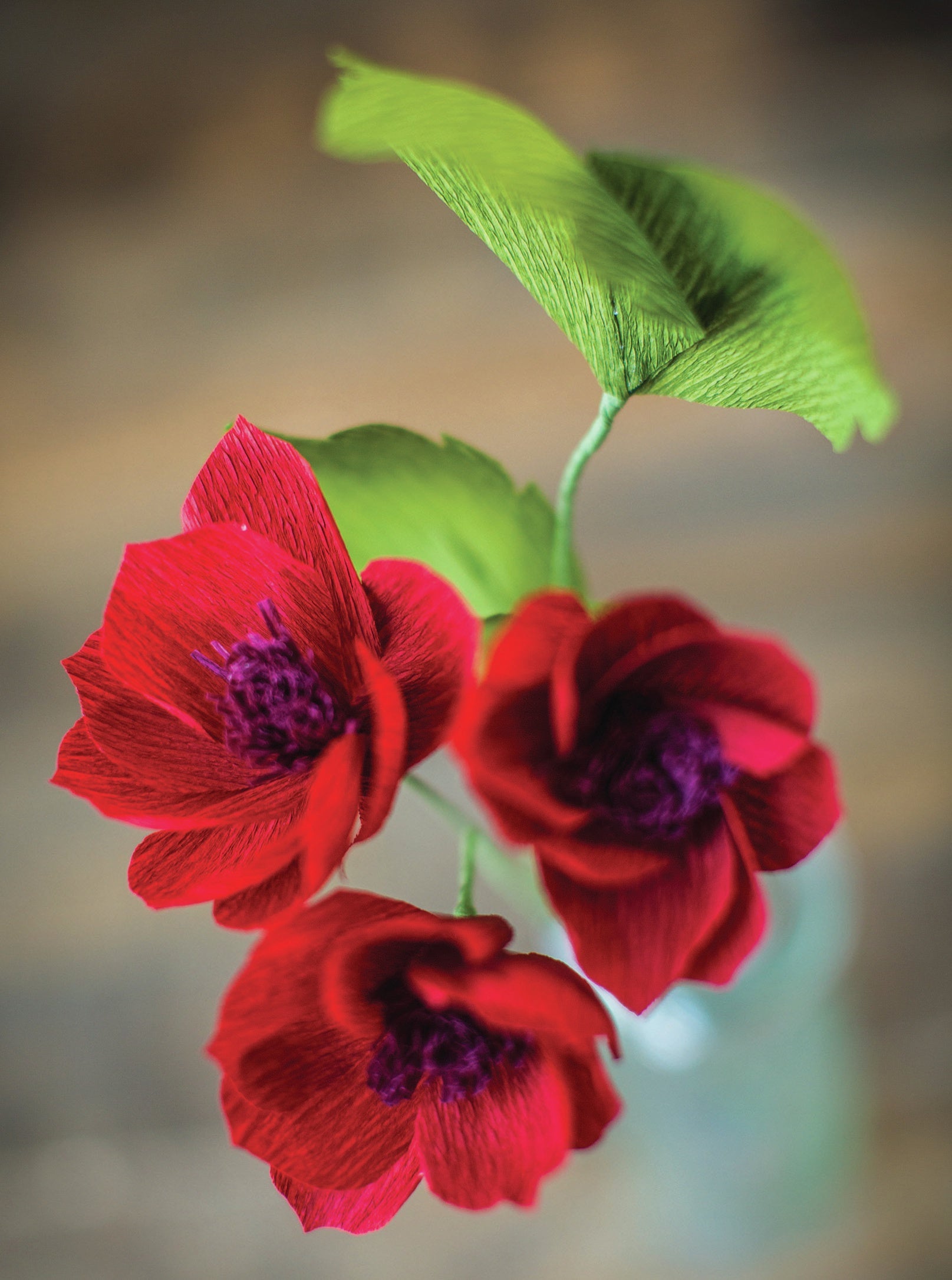 Extra Fine Crepe Paper 19.6"X78.7" Cranberry