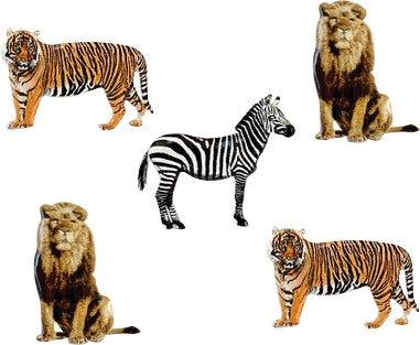 Eyelet Outlet Shape Brads 12/Pkg Zebra, Lion & Tiger