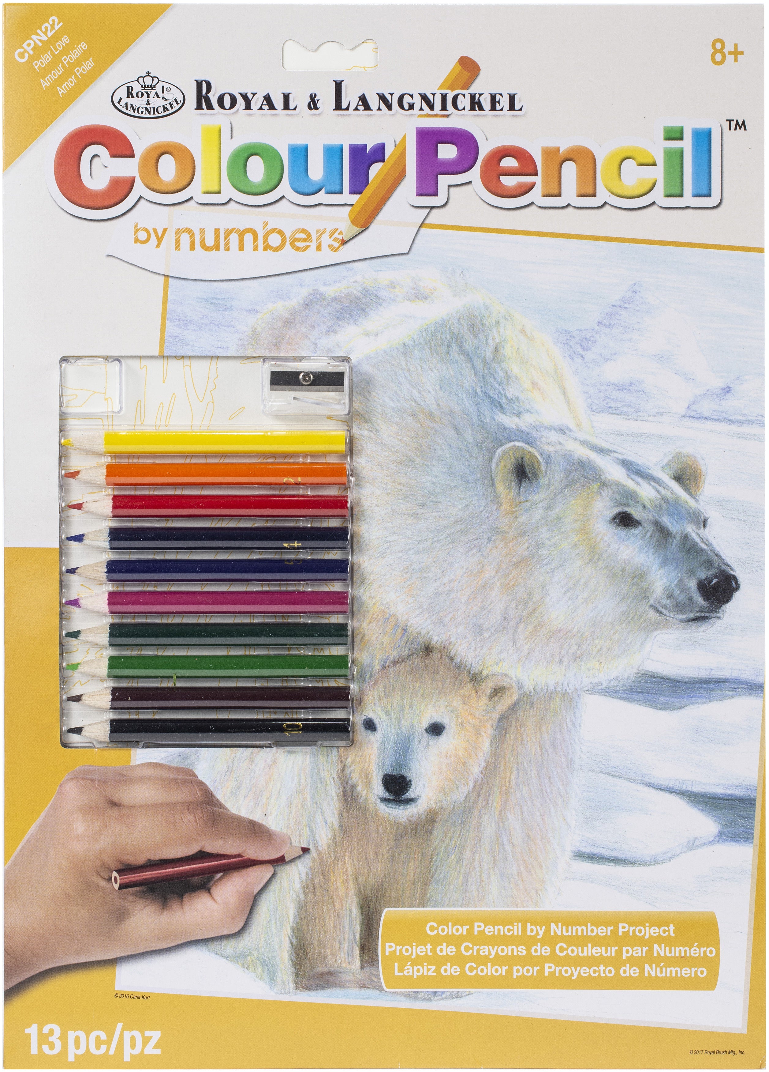 Color Pencil By Number Kit 8.75"X11.75" Polar Love