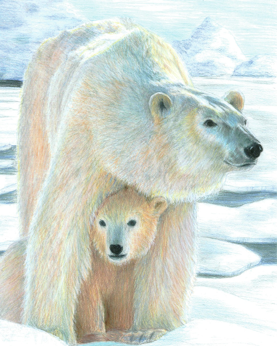 Color Pencil By Number Kit 8.75"X11.75" Polar Love