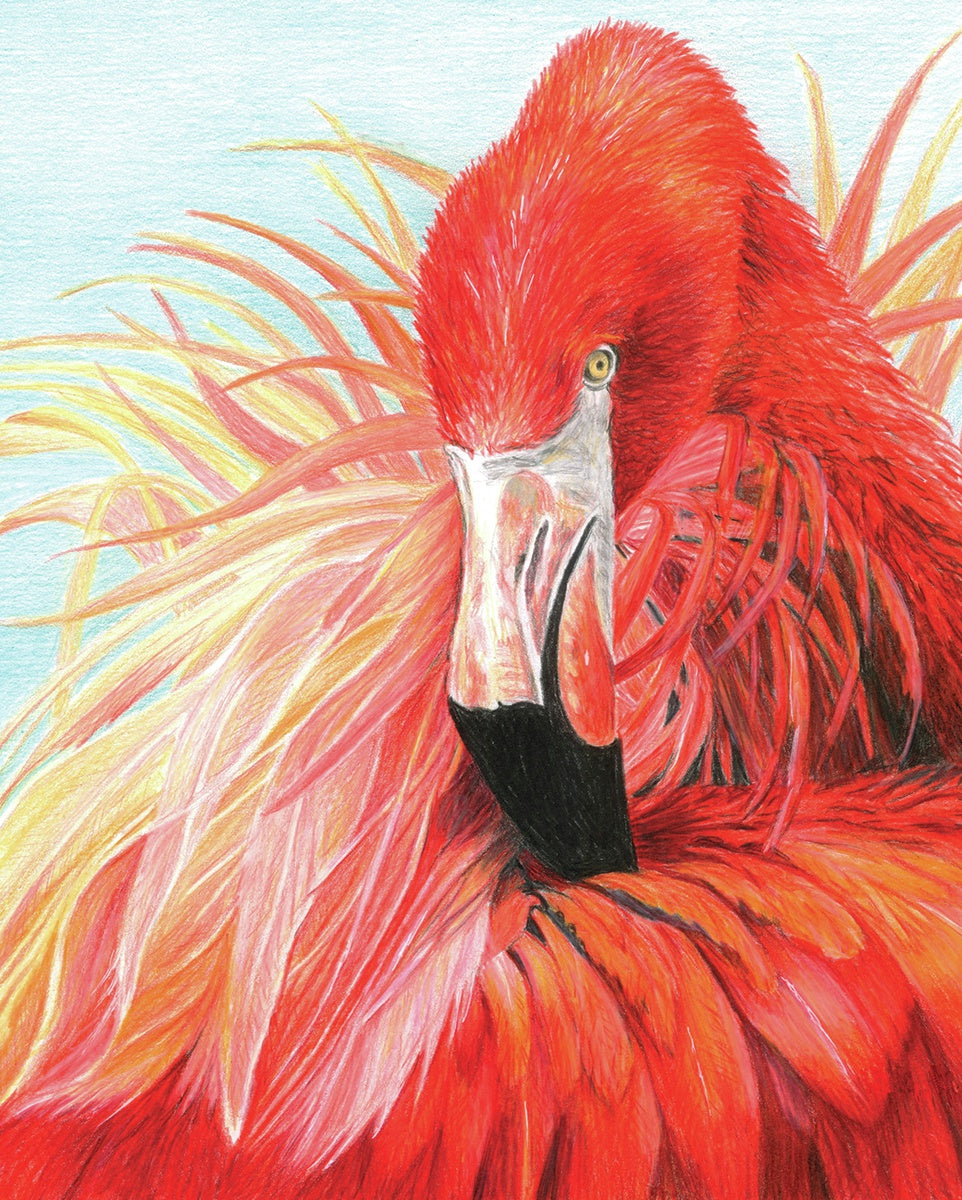 Color Pencil By Number Kit 8.75"X11.75" Flamingo