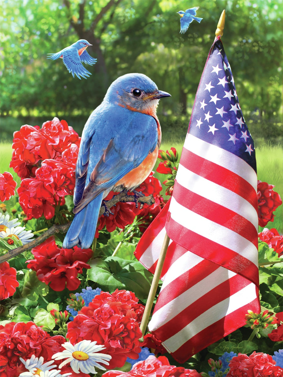 Junior Small Paint By Number Kit 8.75"X11.75" Patriotic Bluebird
