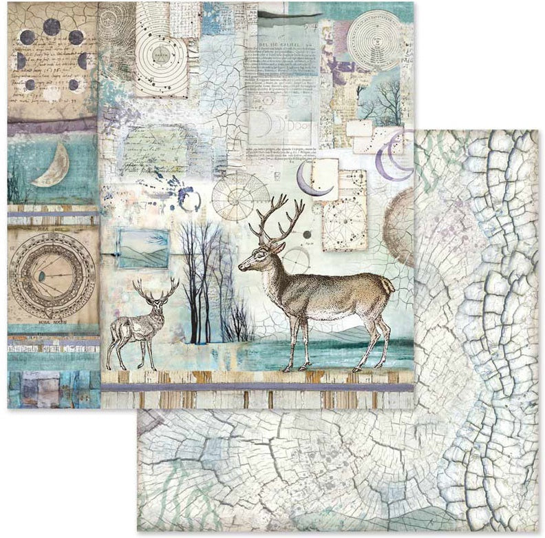 Stamperia Double-Sided Paper Pad 8"X8" 10/Pkg Cosmos, 10 Designs/1 Each