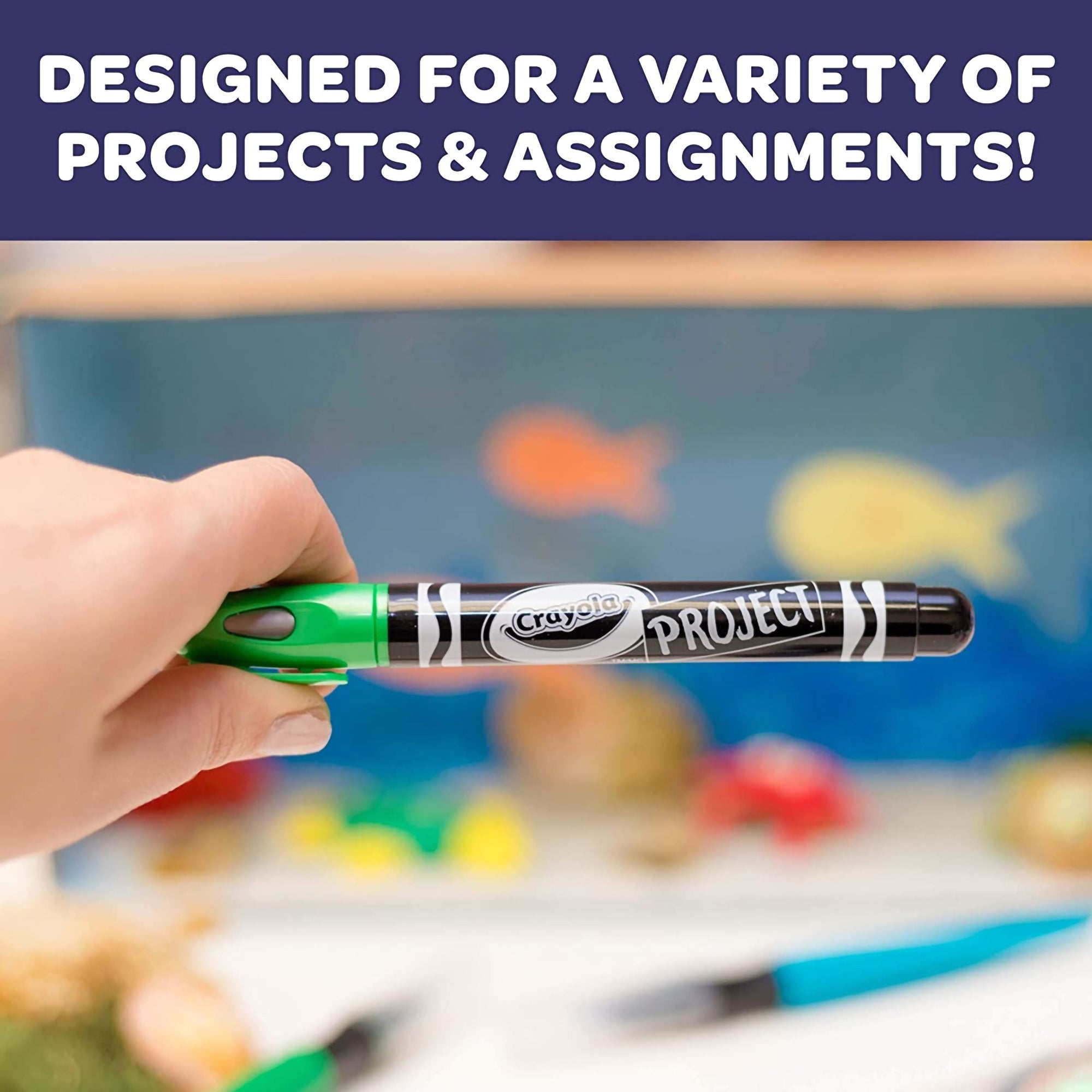 Crayola Project Outline Markers 4/Pkg Metallic Colors