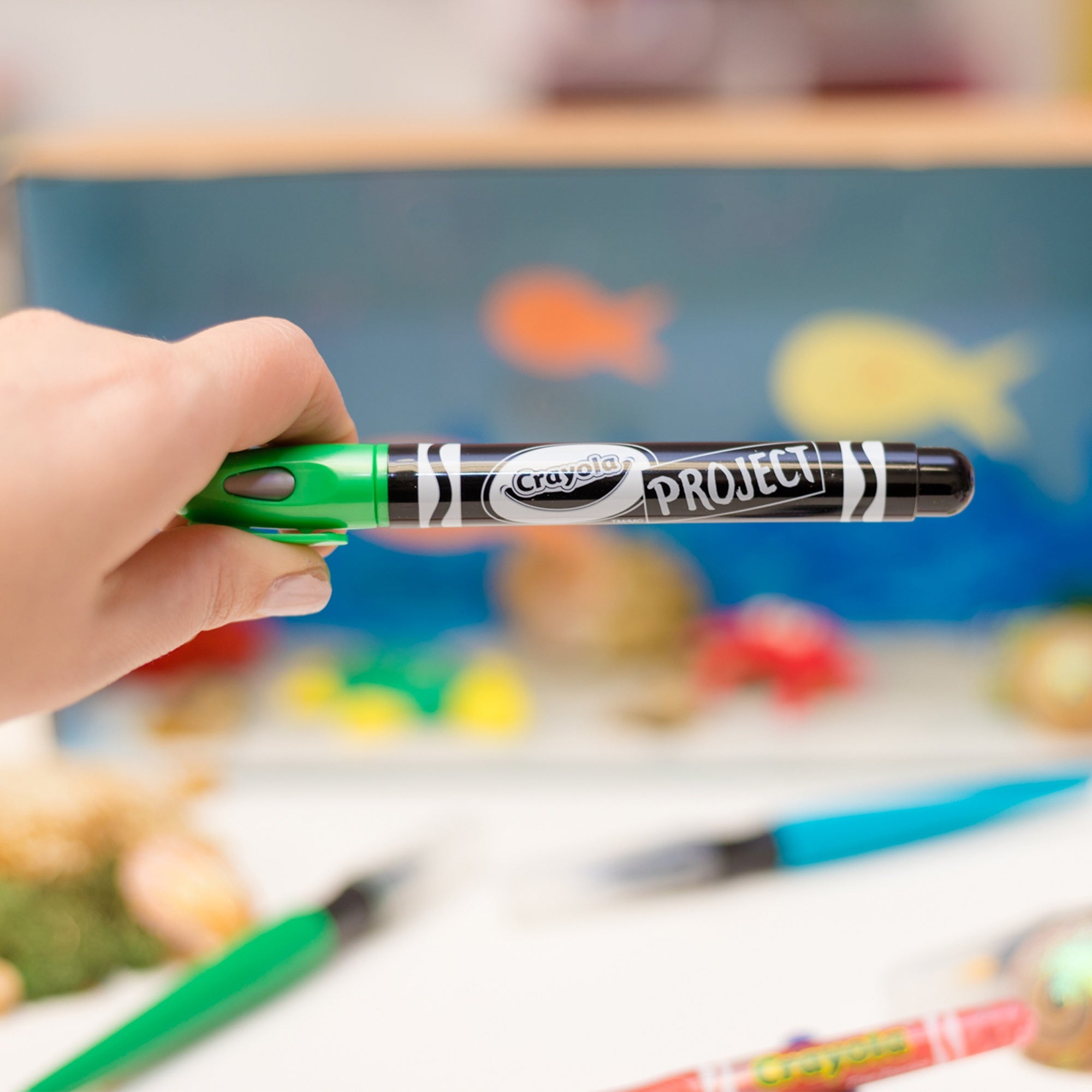 Crayola Project Outline Markers 4/Pkg Metallic Colors