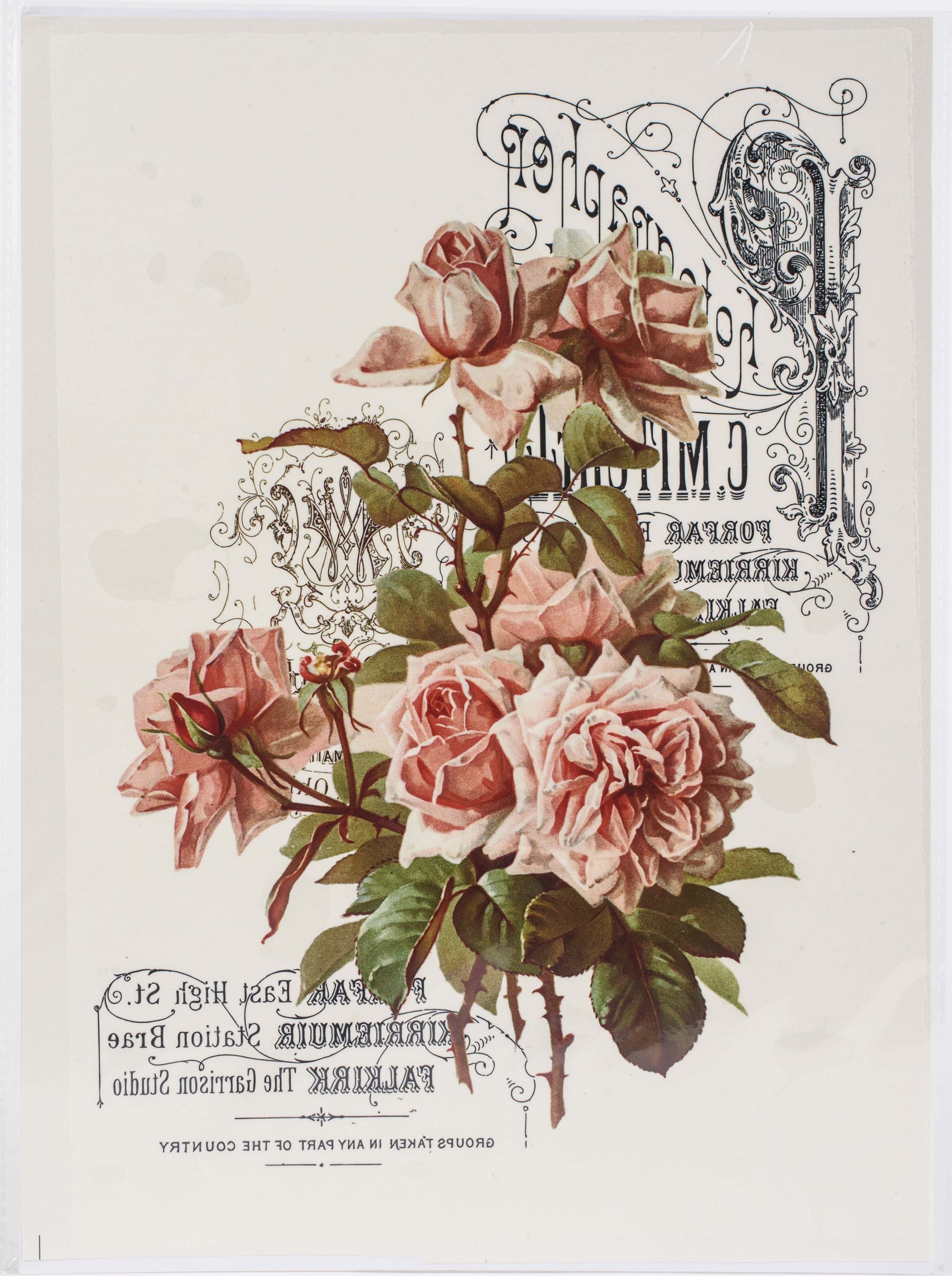 Dress My Craft Transfer Me Sheet A4 Peach Roses
