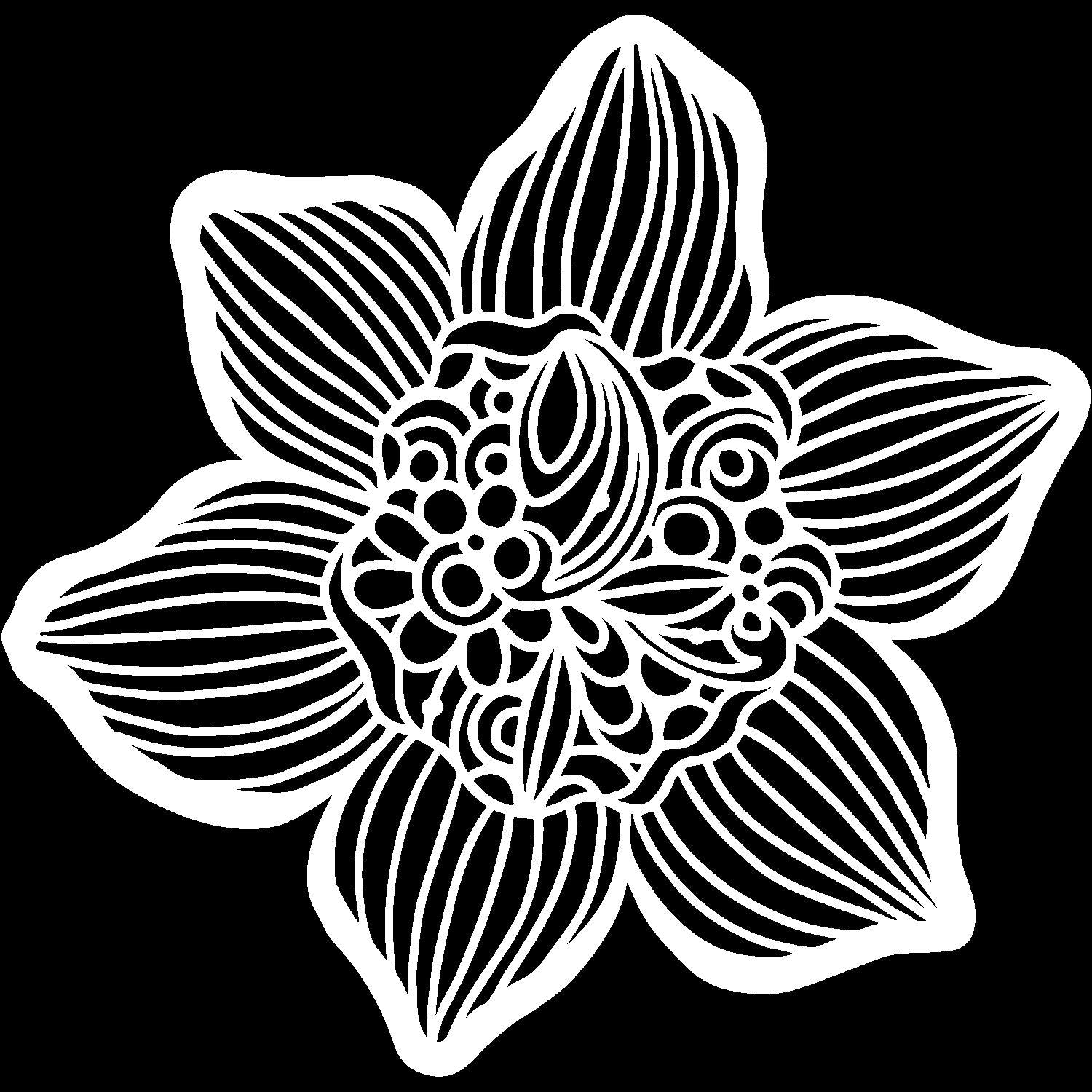 Crafter's Workshop Template 6"X6" Cupped Daffodil
