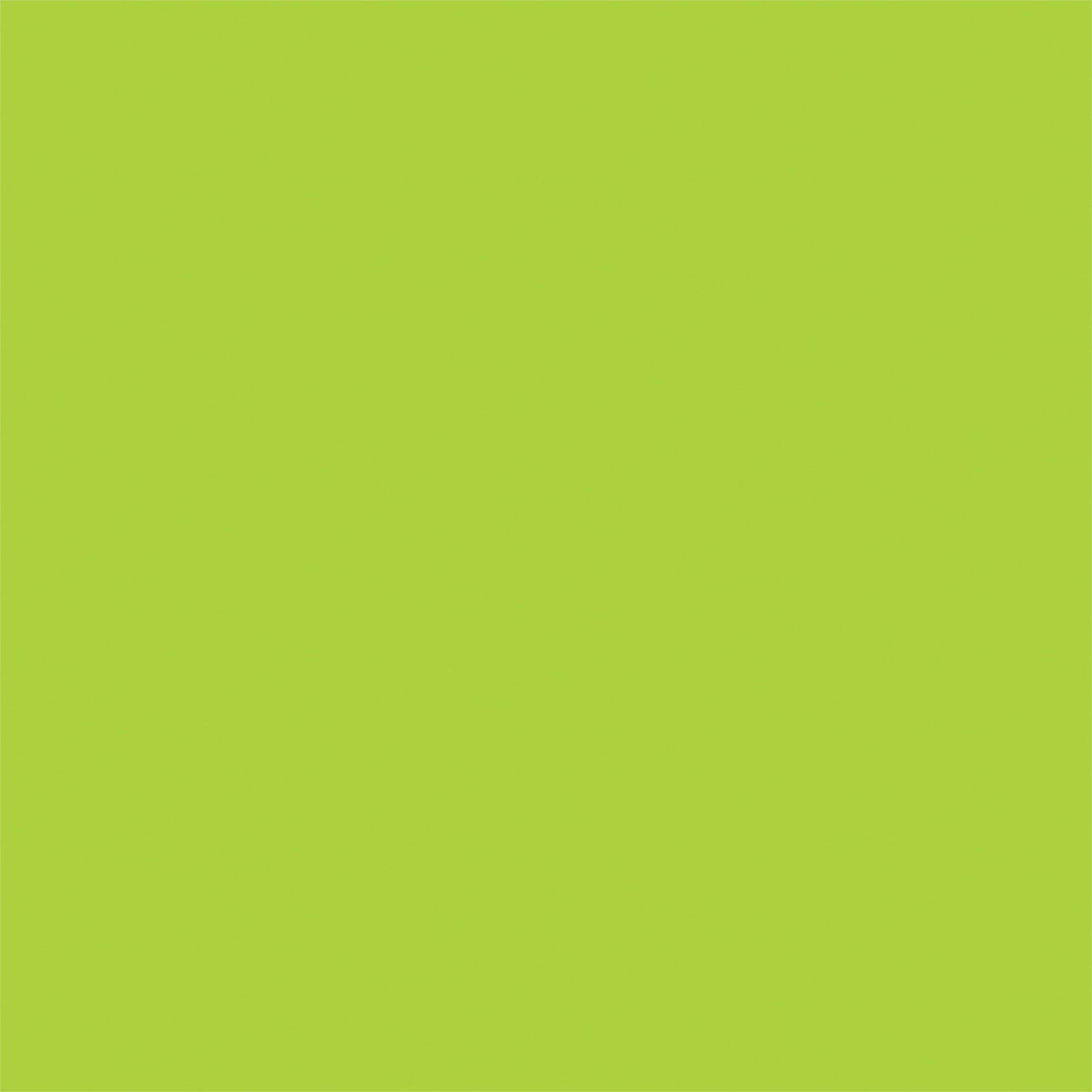 Bow Wow & Meow Double-Sided Cardstock 12"X12"-Green/Orange, Solids +