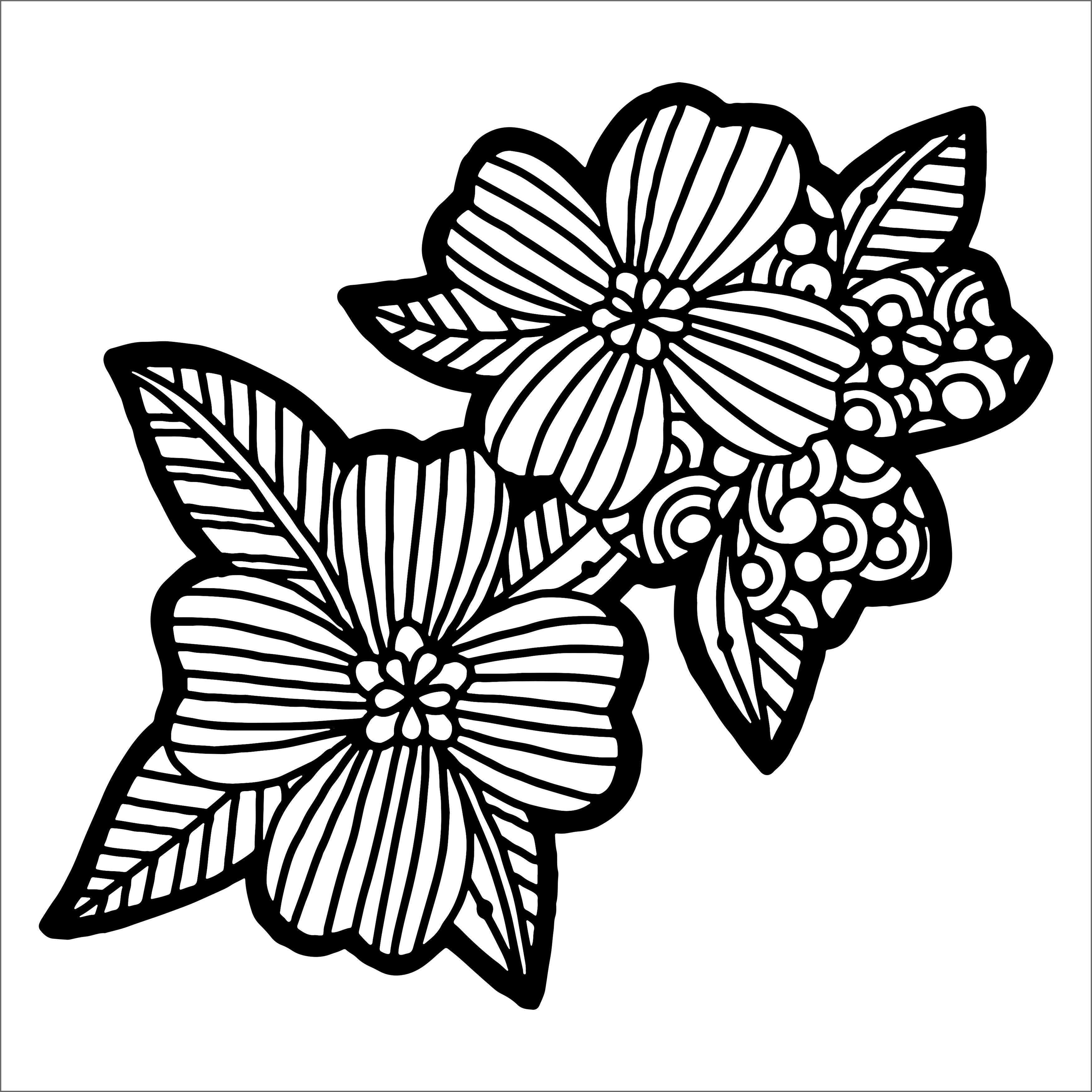 Crafter's Workshop Template 6"X6"-Dogwood Pair