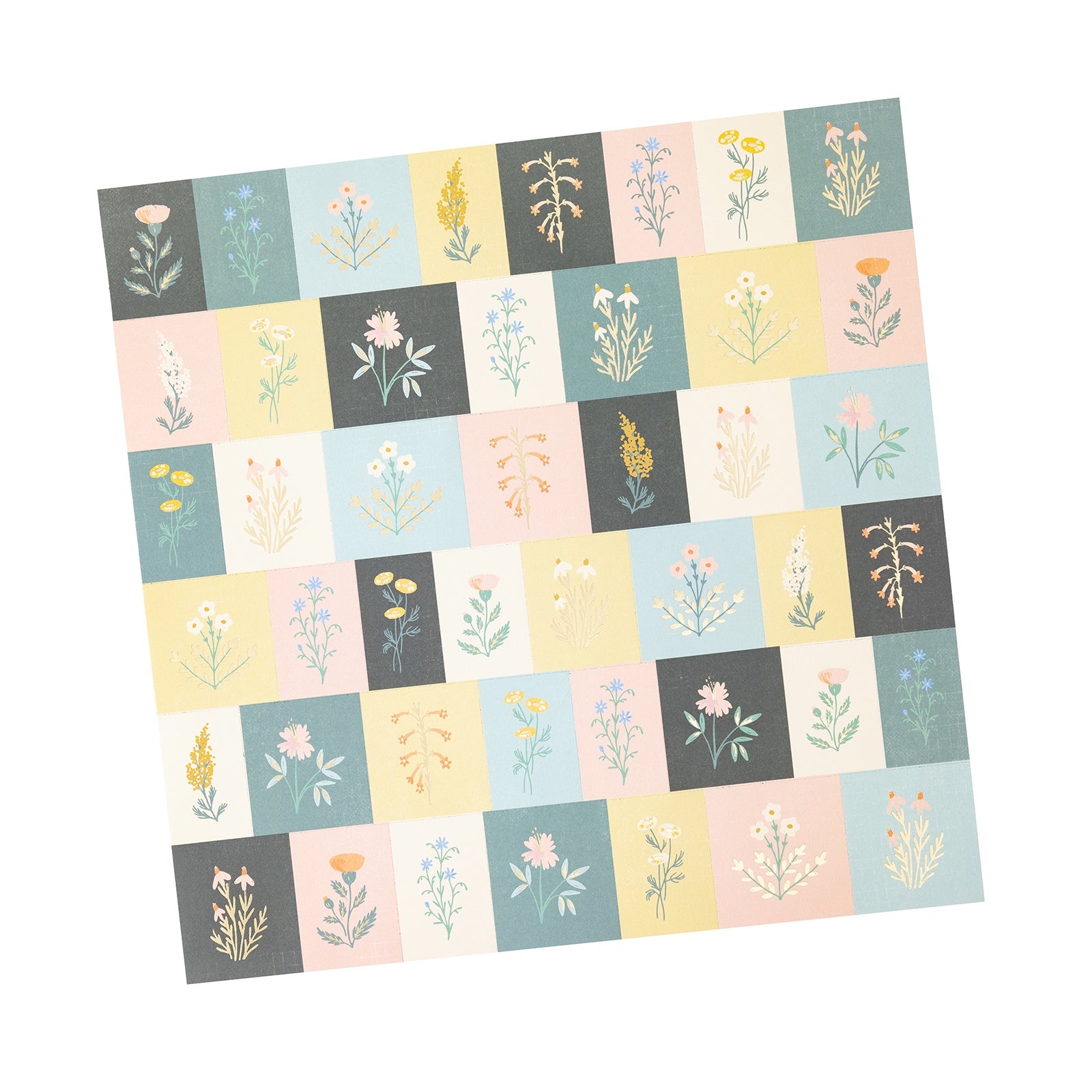 Maggie Holmes Parasol Specialty Paper 12"X12"-Perforated Cardstock W/Gold Foil Accents