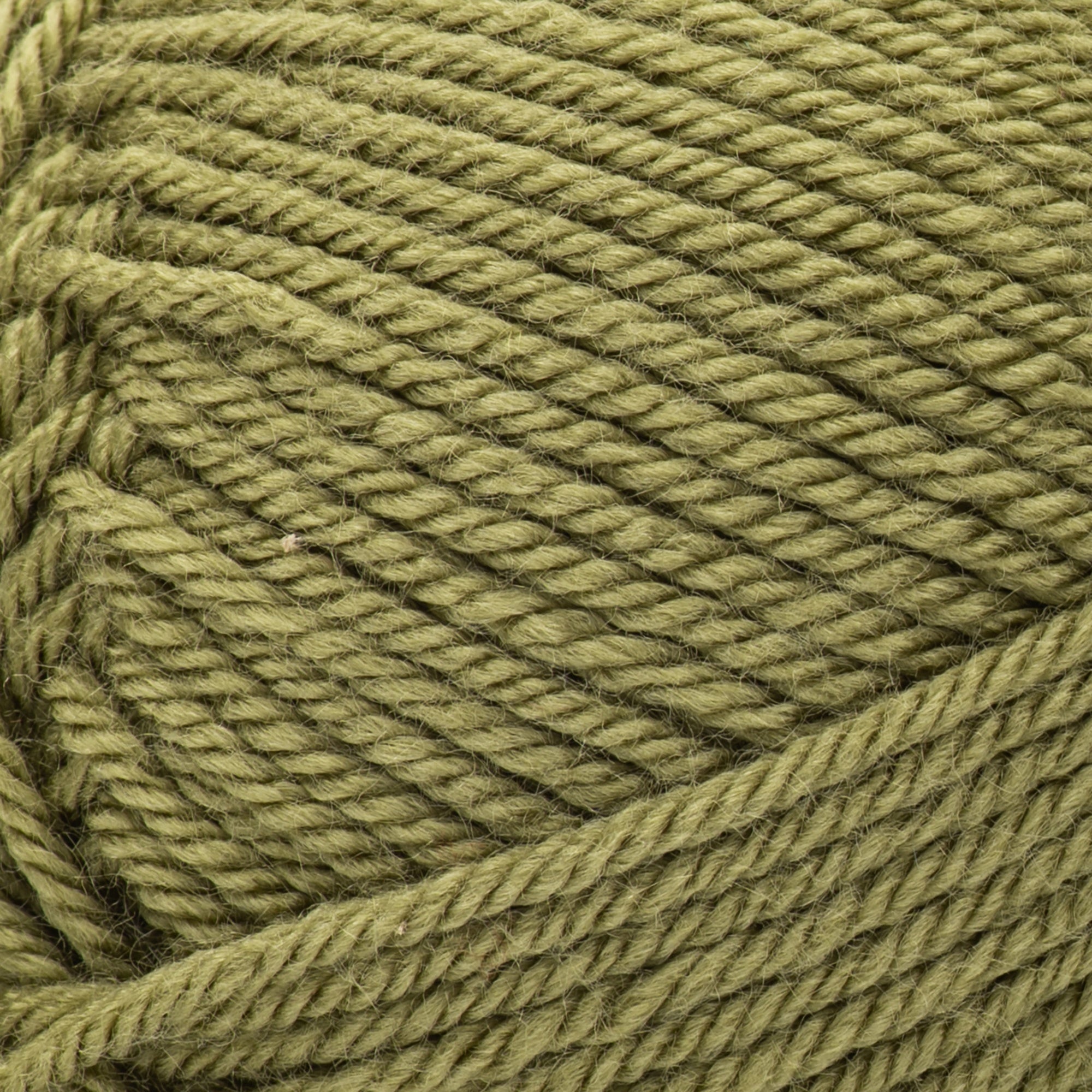 Patons Canadiana Yarn - Solids-Moss