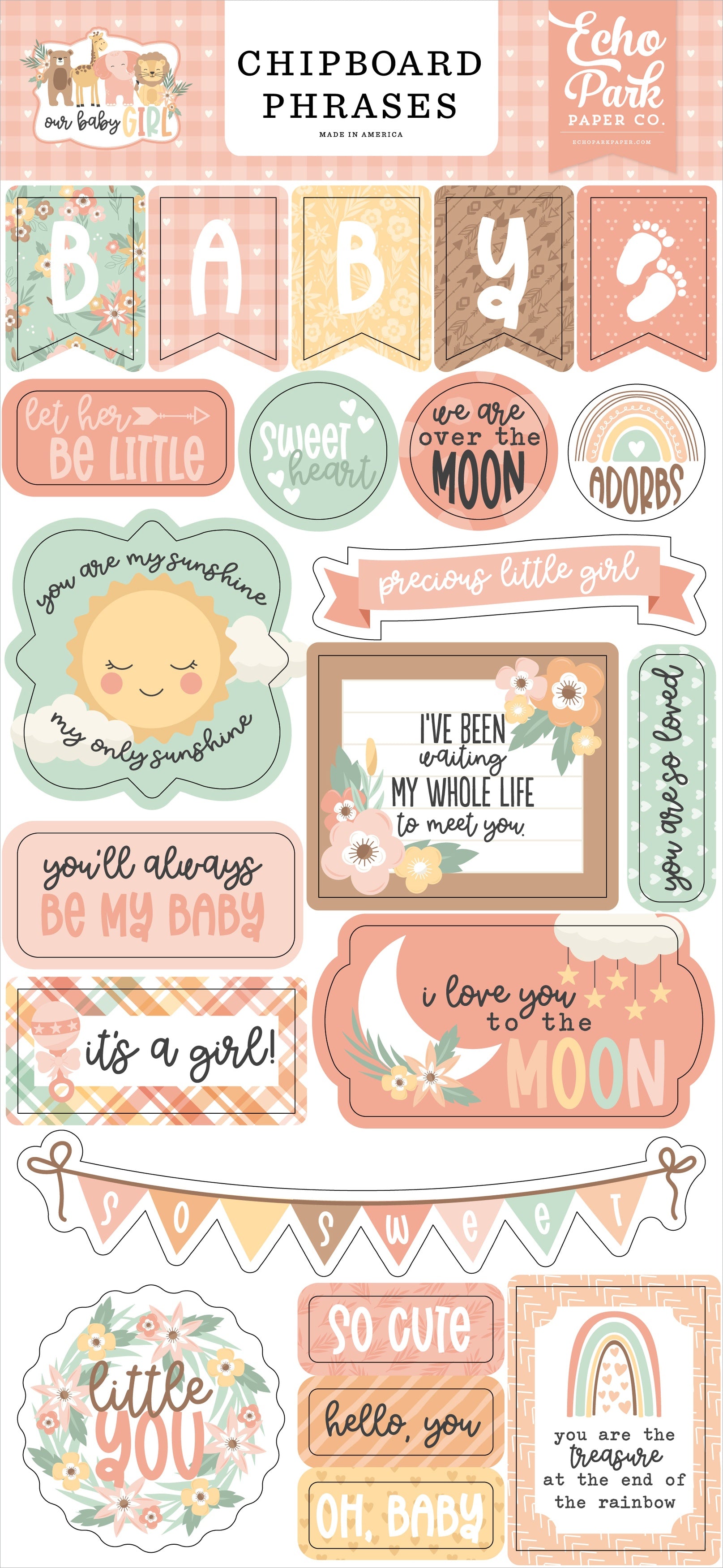 Our Baby Girl Chipboard 6"X13"-Phrases