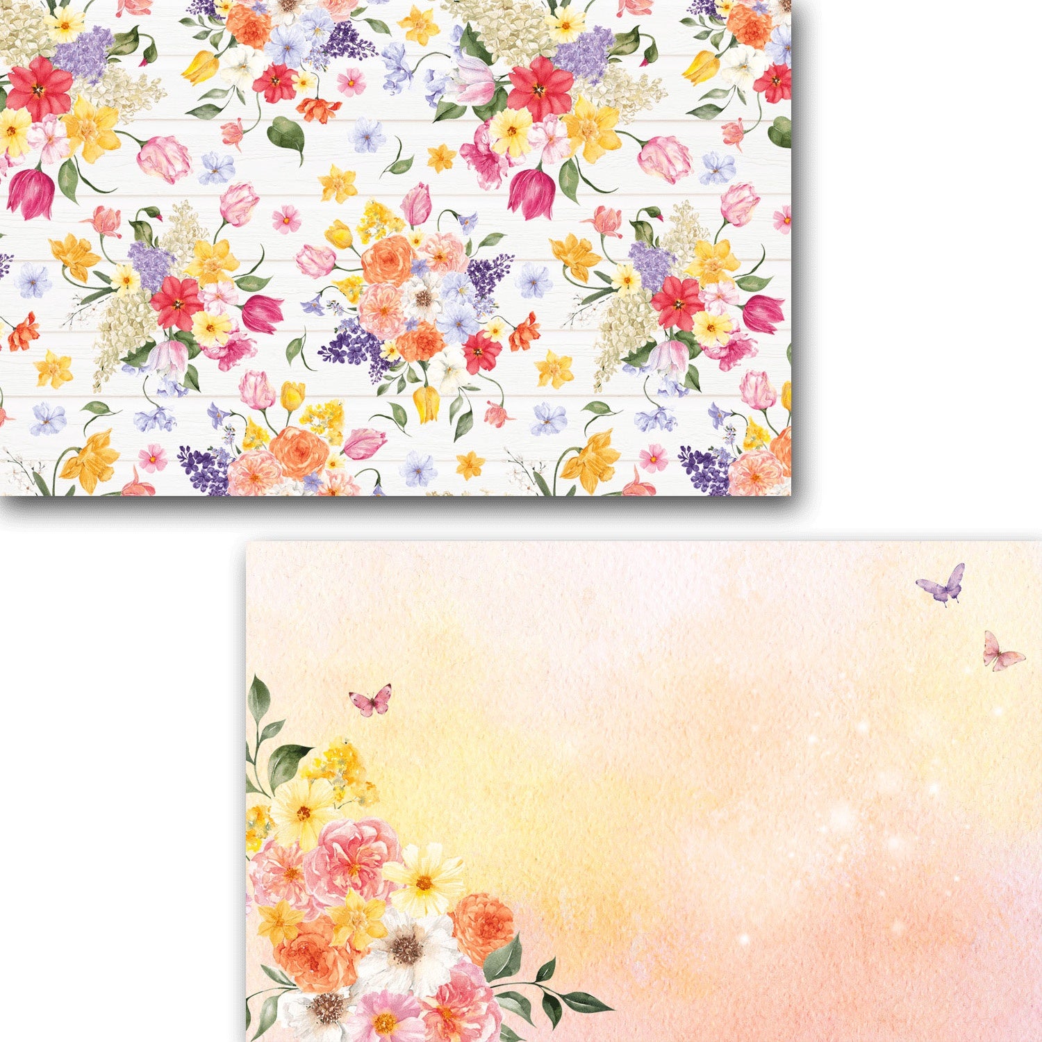 Sunshine Meadows Journal Card Pack 20/Pkg-4 Designs/5 Each