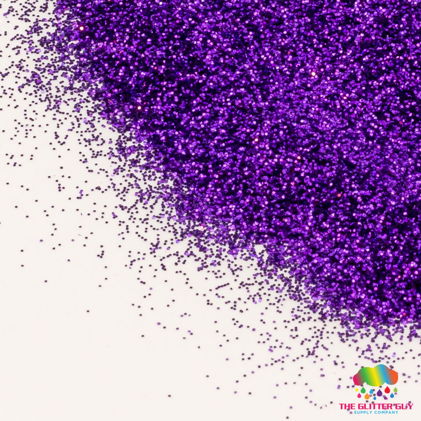 The Glitter Guy 100ml Glitter Shaker-Purple Reign