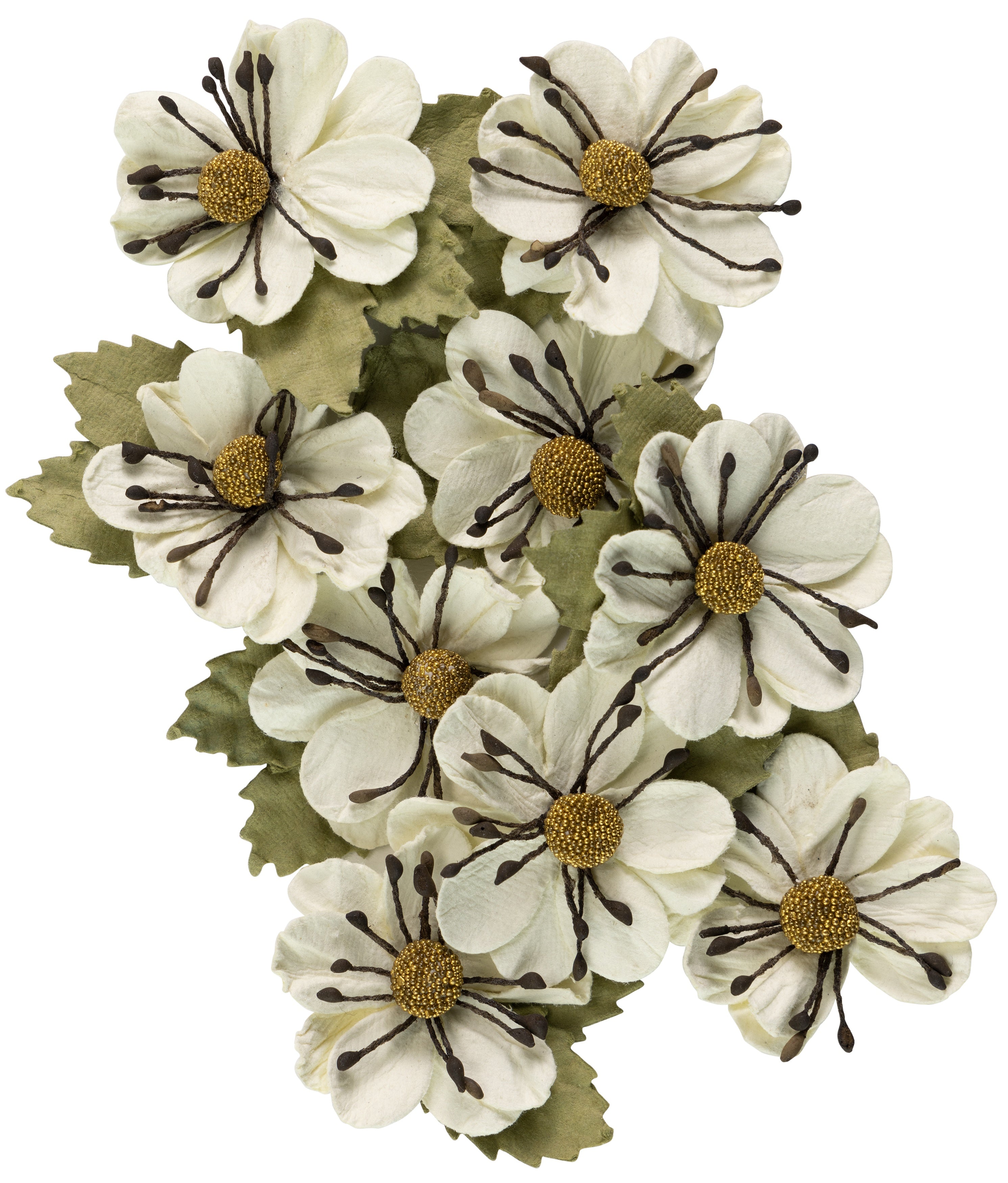 Little Birdie Wendy Paper Flowers 9/Pkg-Amor Mio